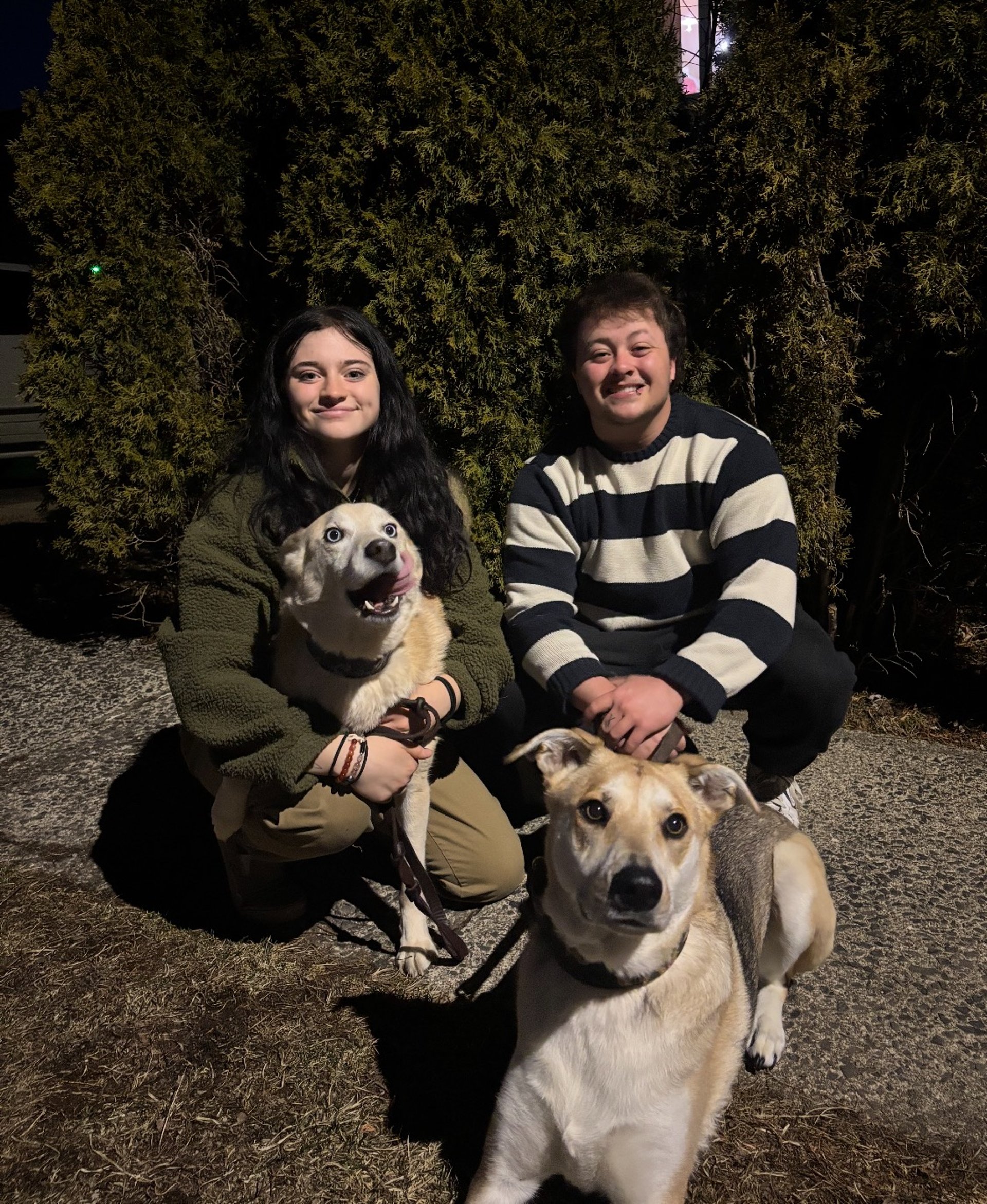 black and brown leather padded tub sofa