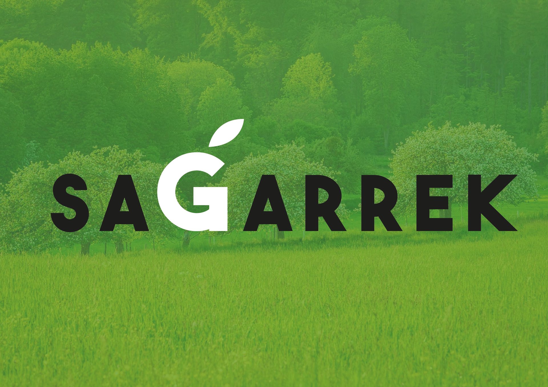 mountain range under blue sky