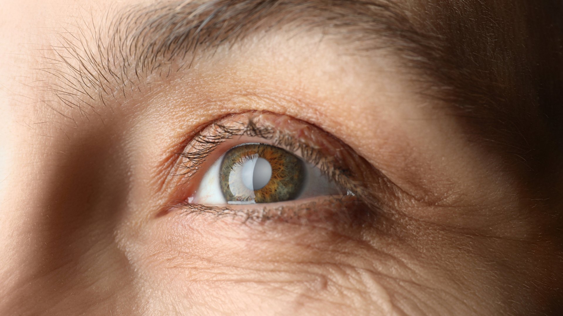 an abstract photo of a curved building with a blue sky in the background