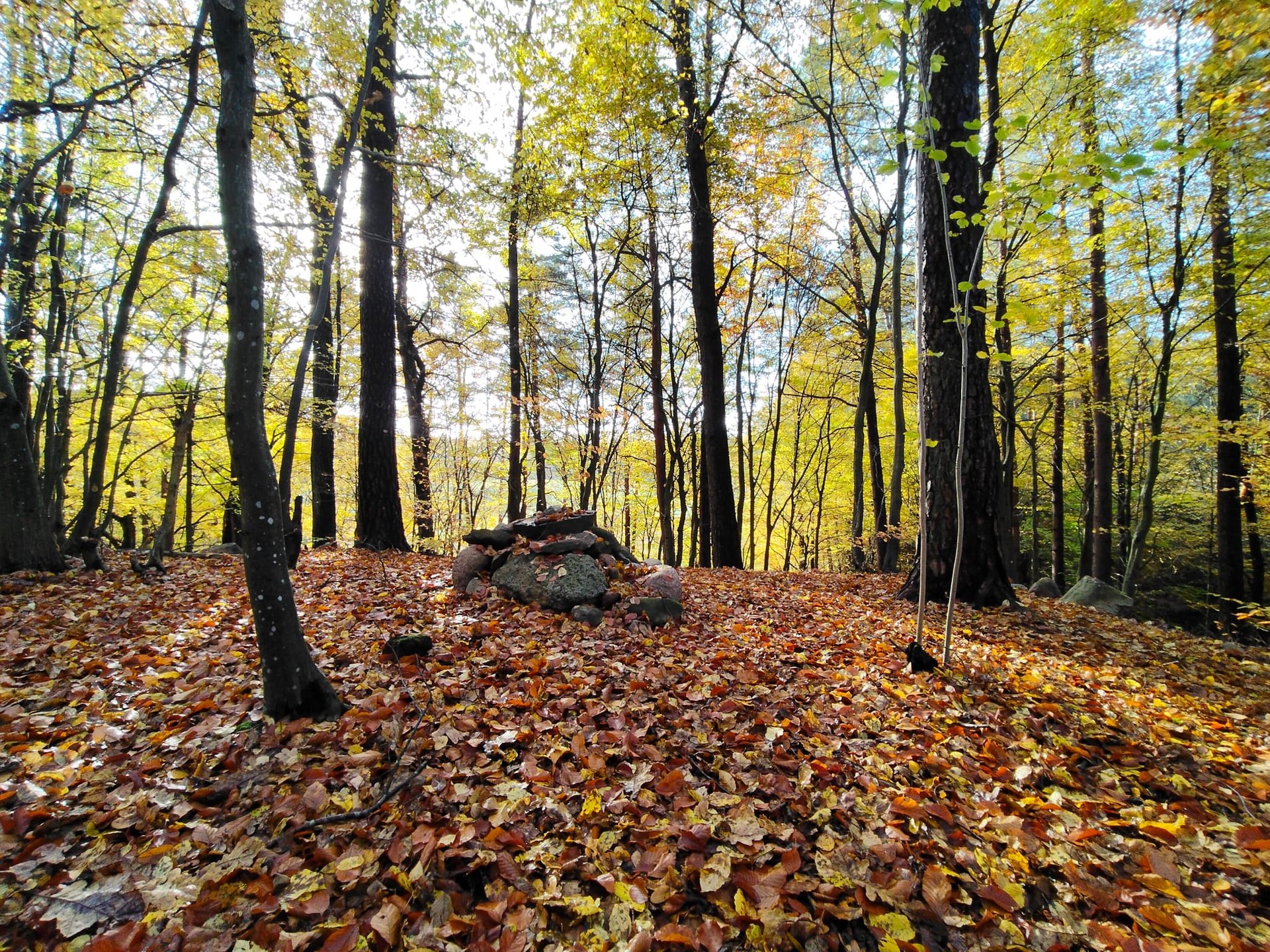gray computer monitor