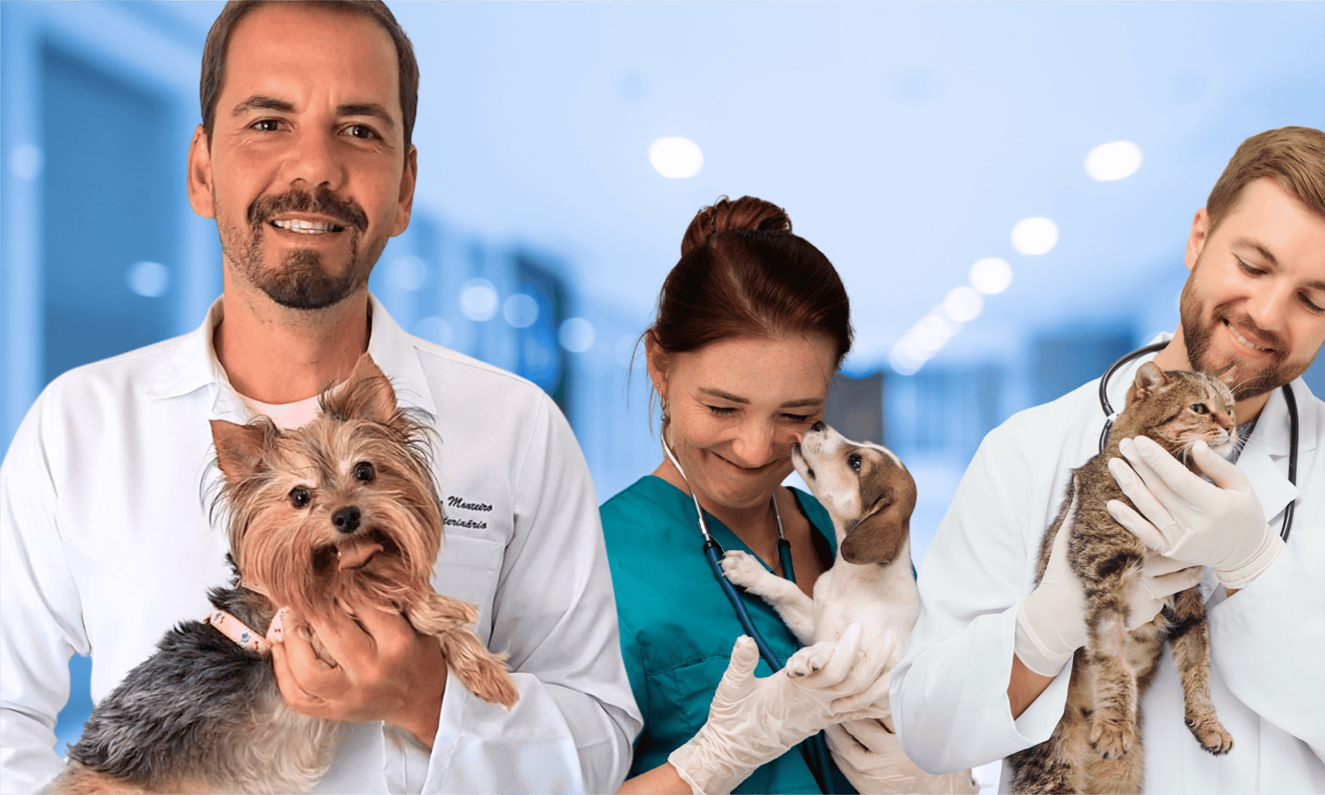 black and brown leather padded tub sofa