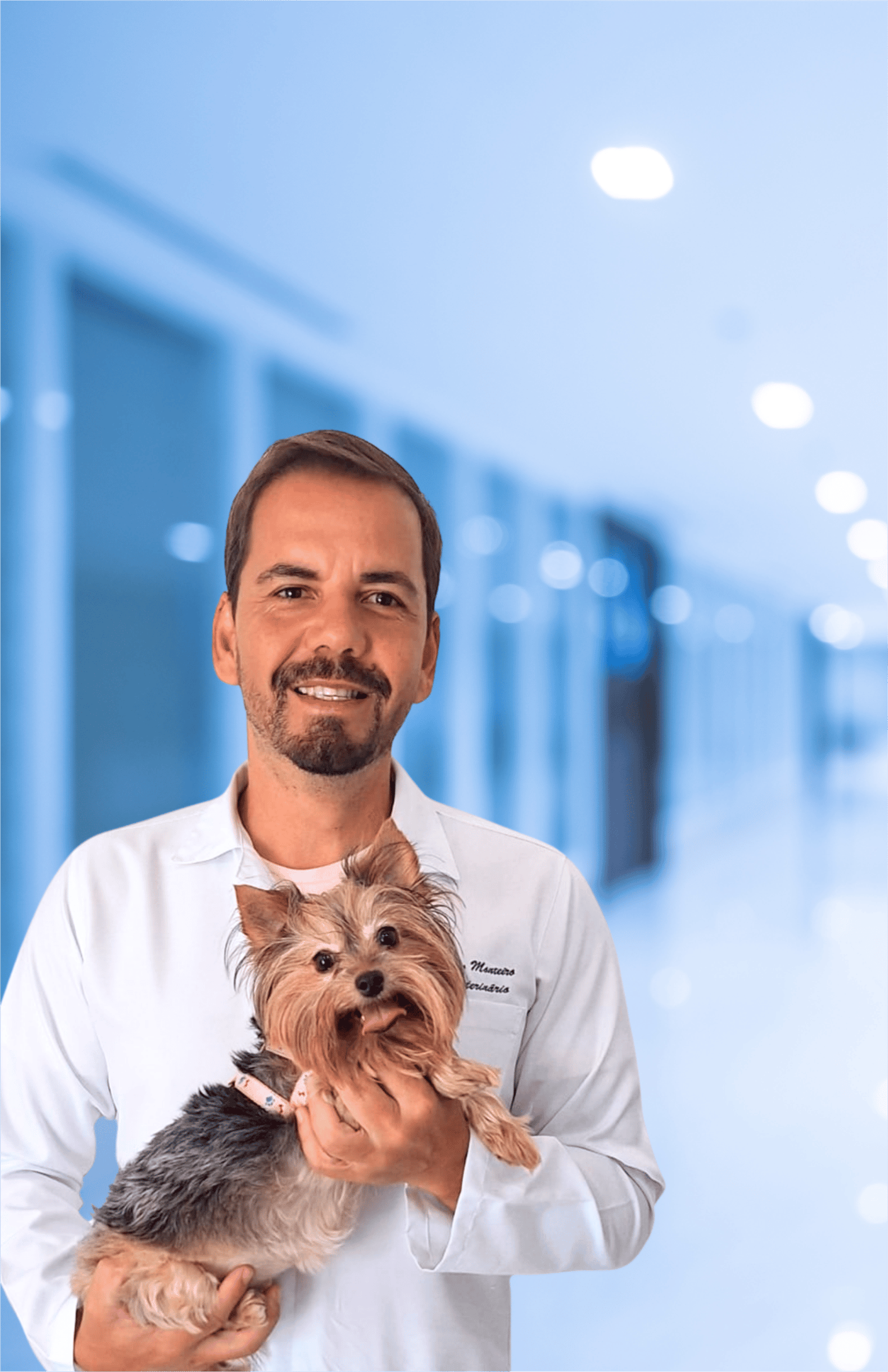 black and brown leather padded tub sofa