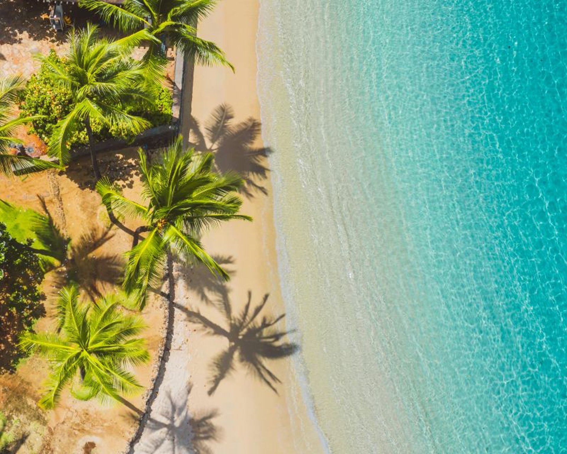 seashore under clear blue sky during daytime