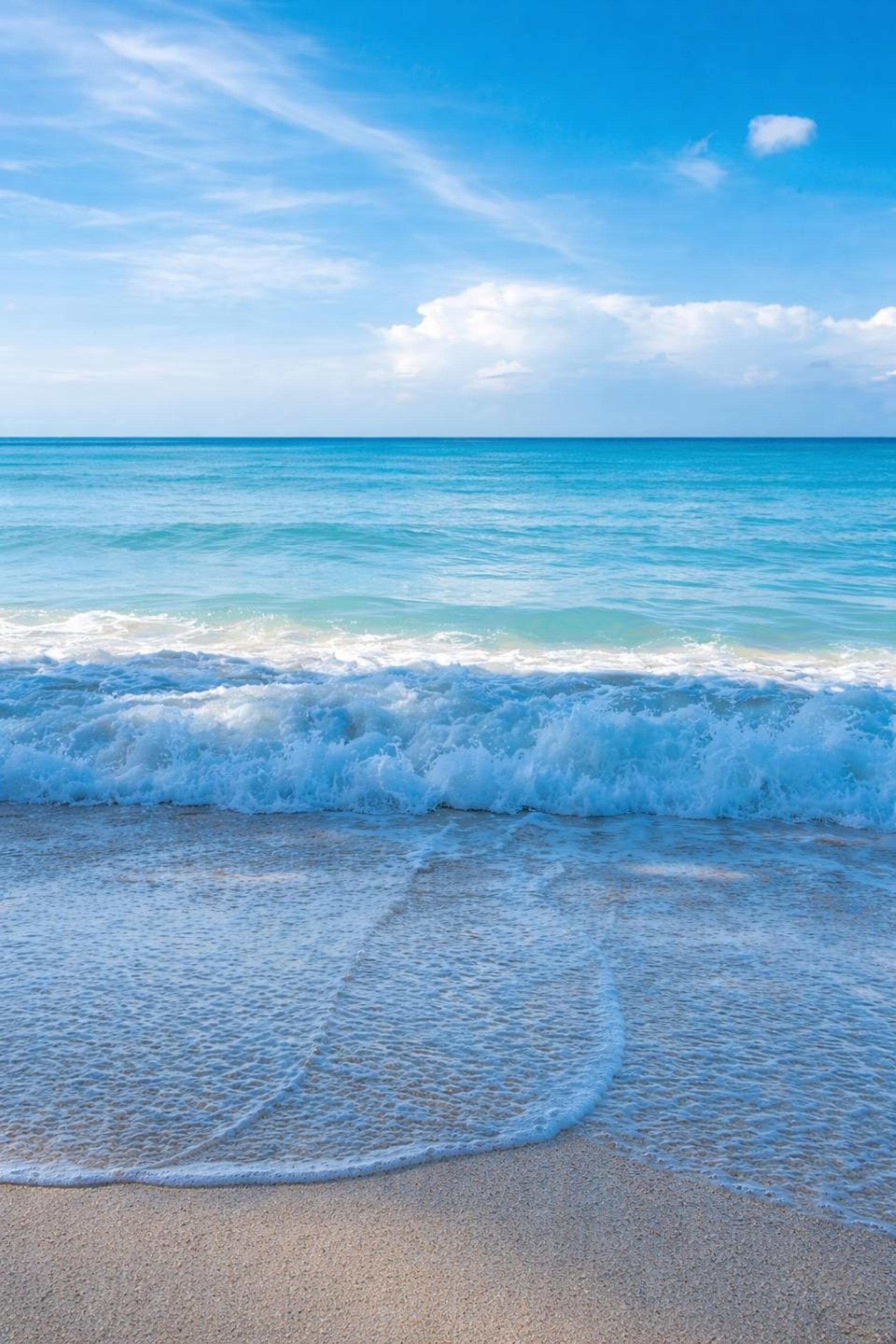 seashore during golden hour