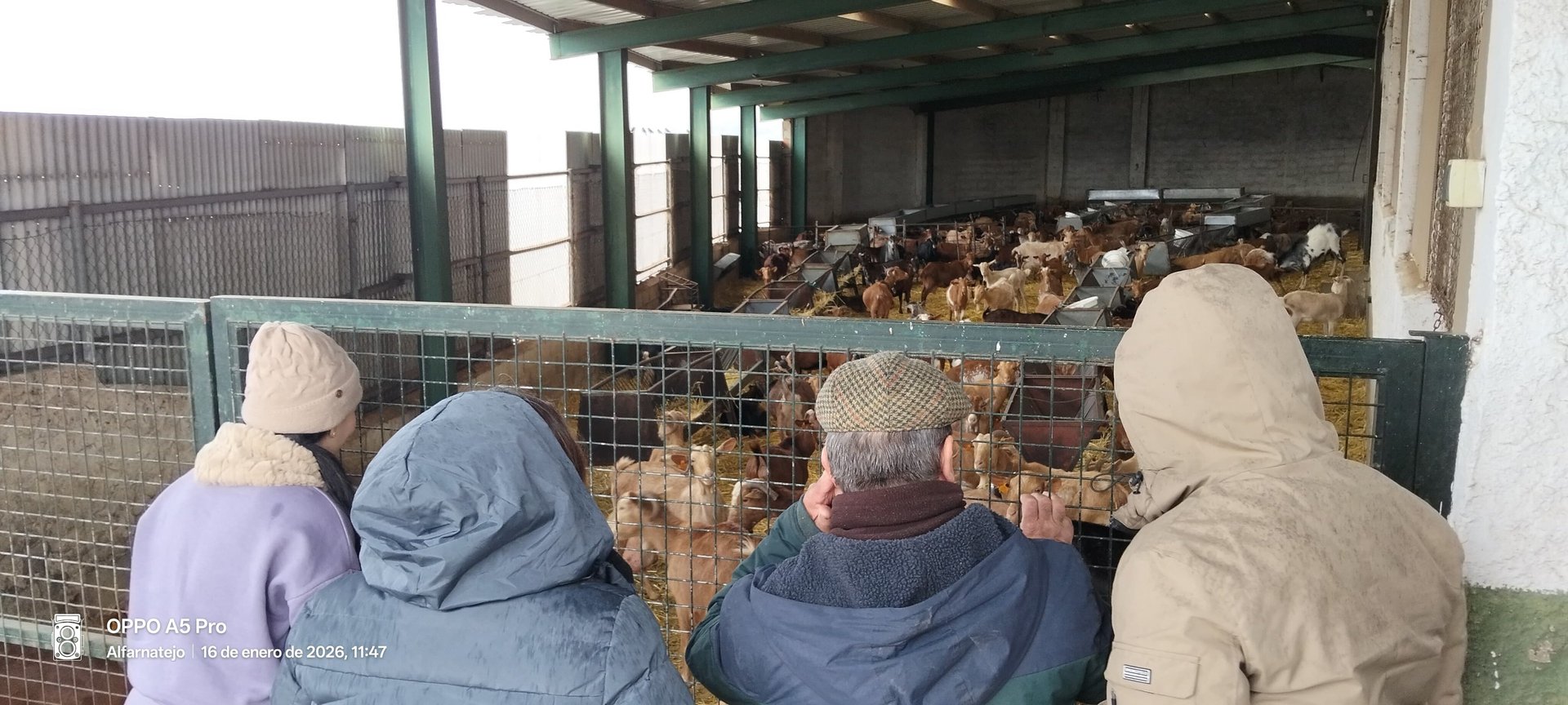 an abstract photo of a curved building with a blue sky in the background