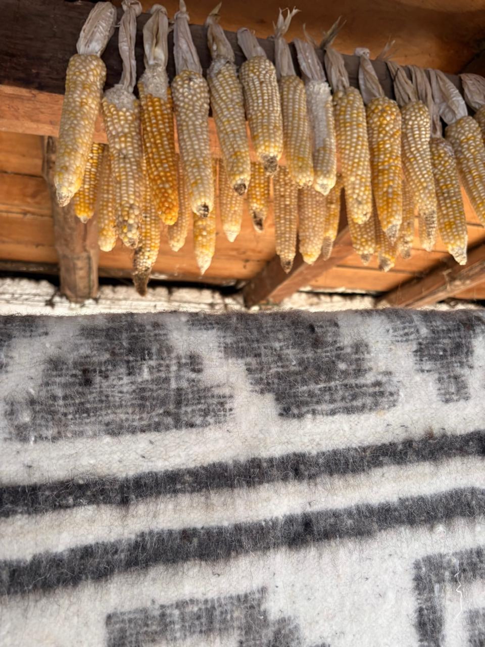 ALFOMBRA HECHA A MANO COLGADA