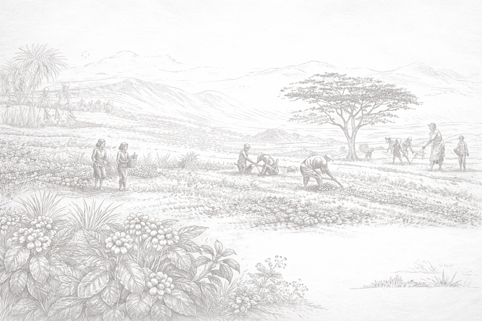 black and white bed linen