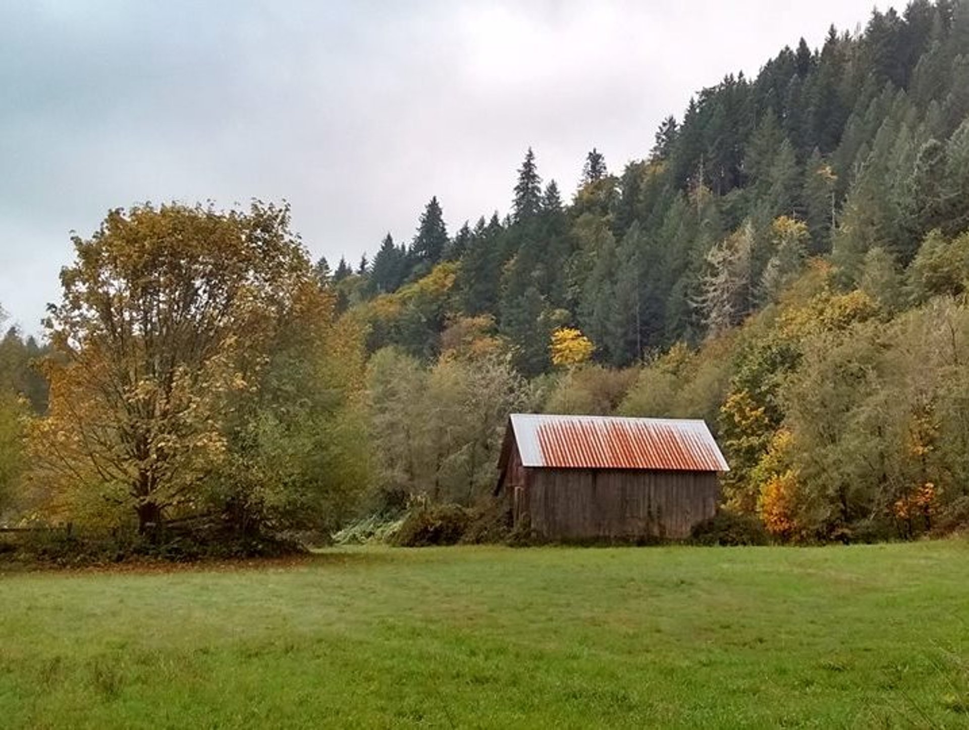 person wearing grey knit sweater