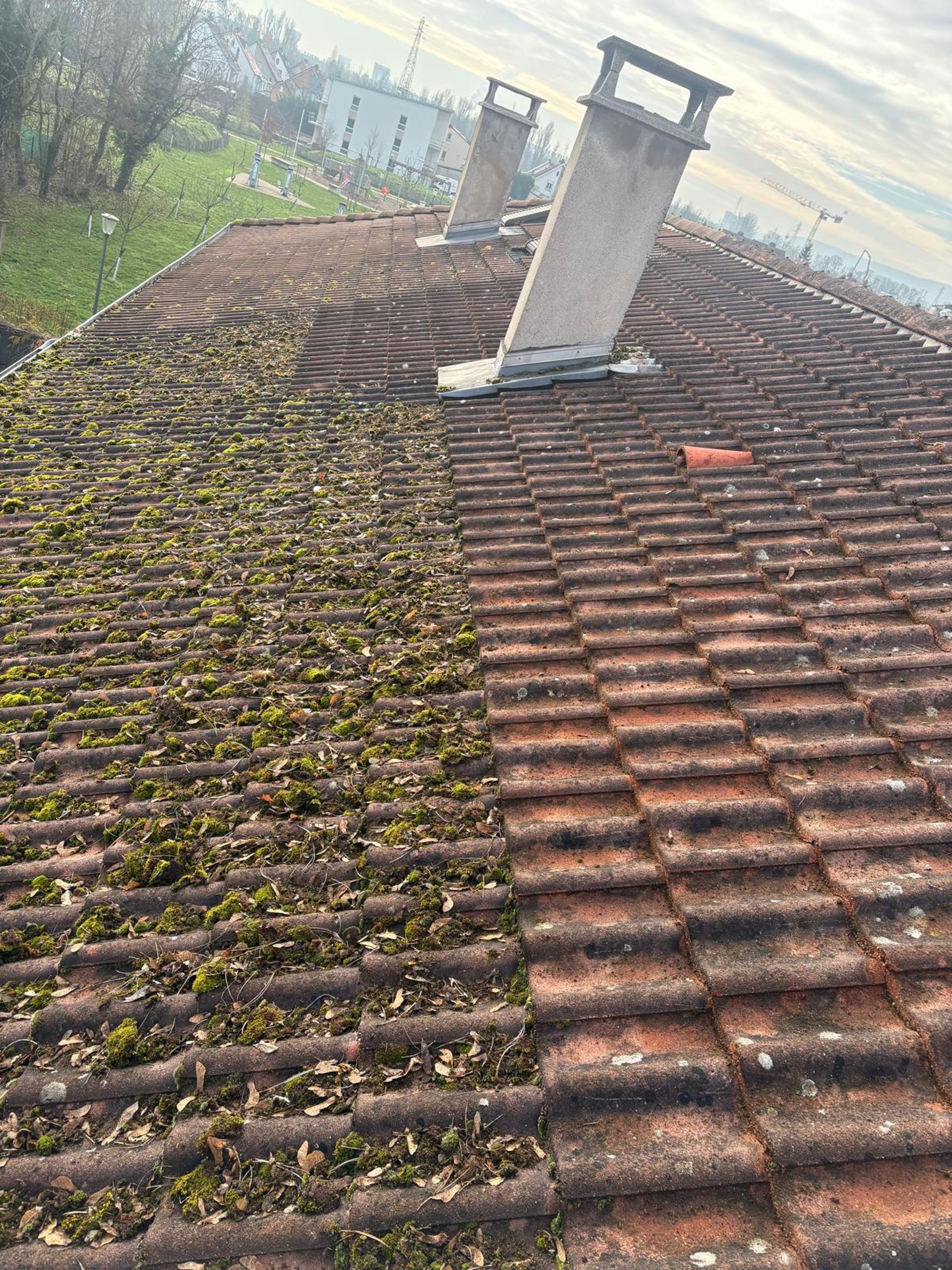 Red roof tiles covered in green moss