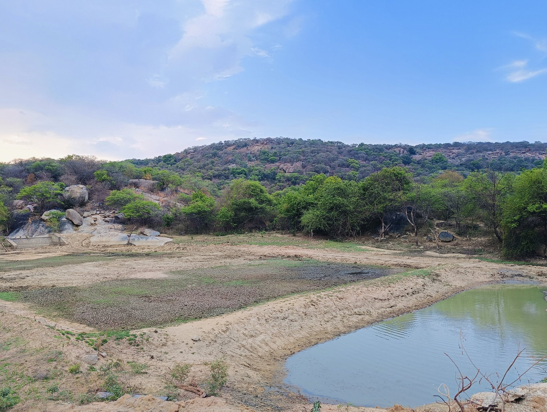 black blue and yellow textile