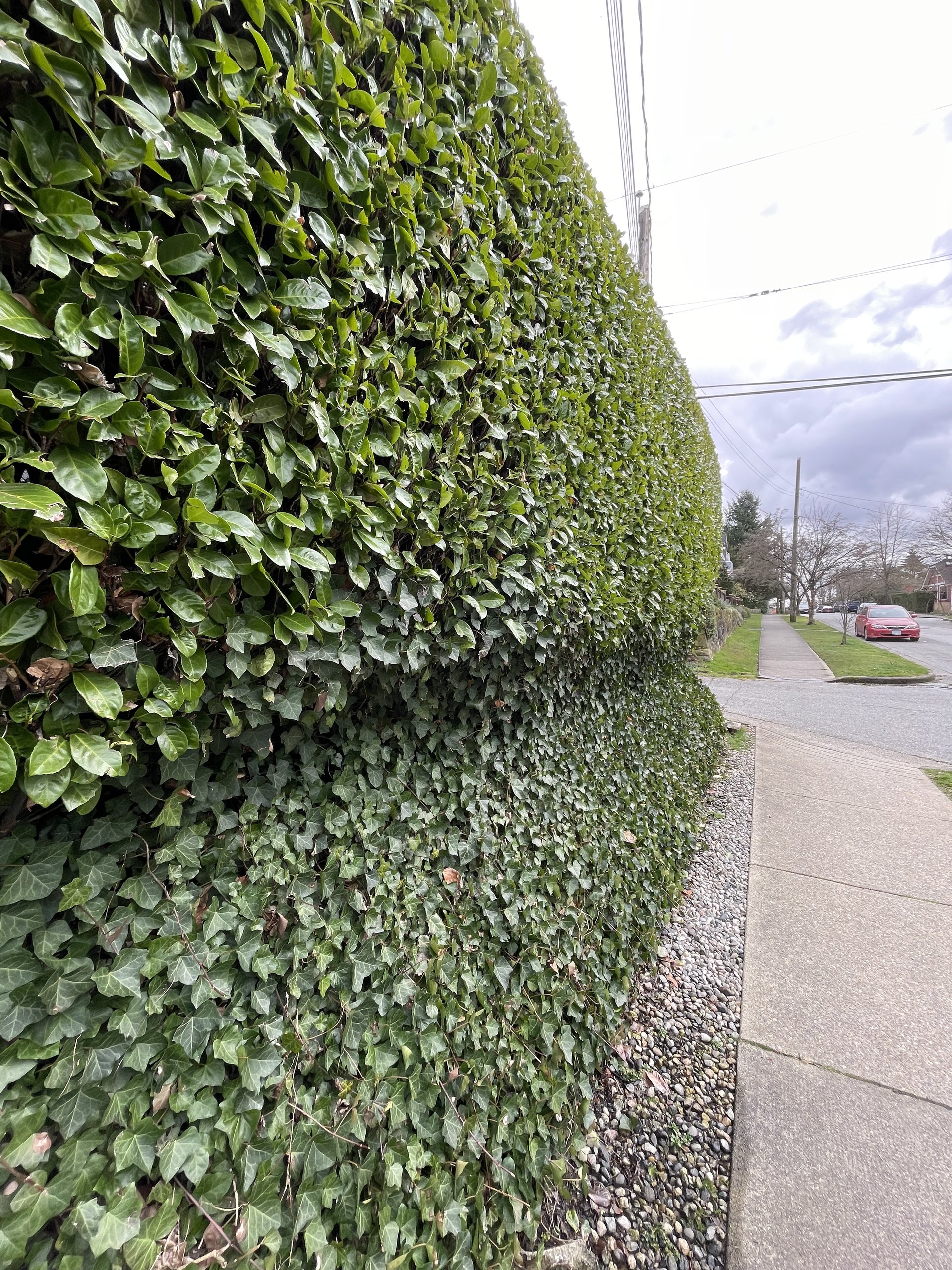 an abstract photo of a curved building with a blue sky in the background