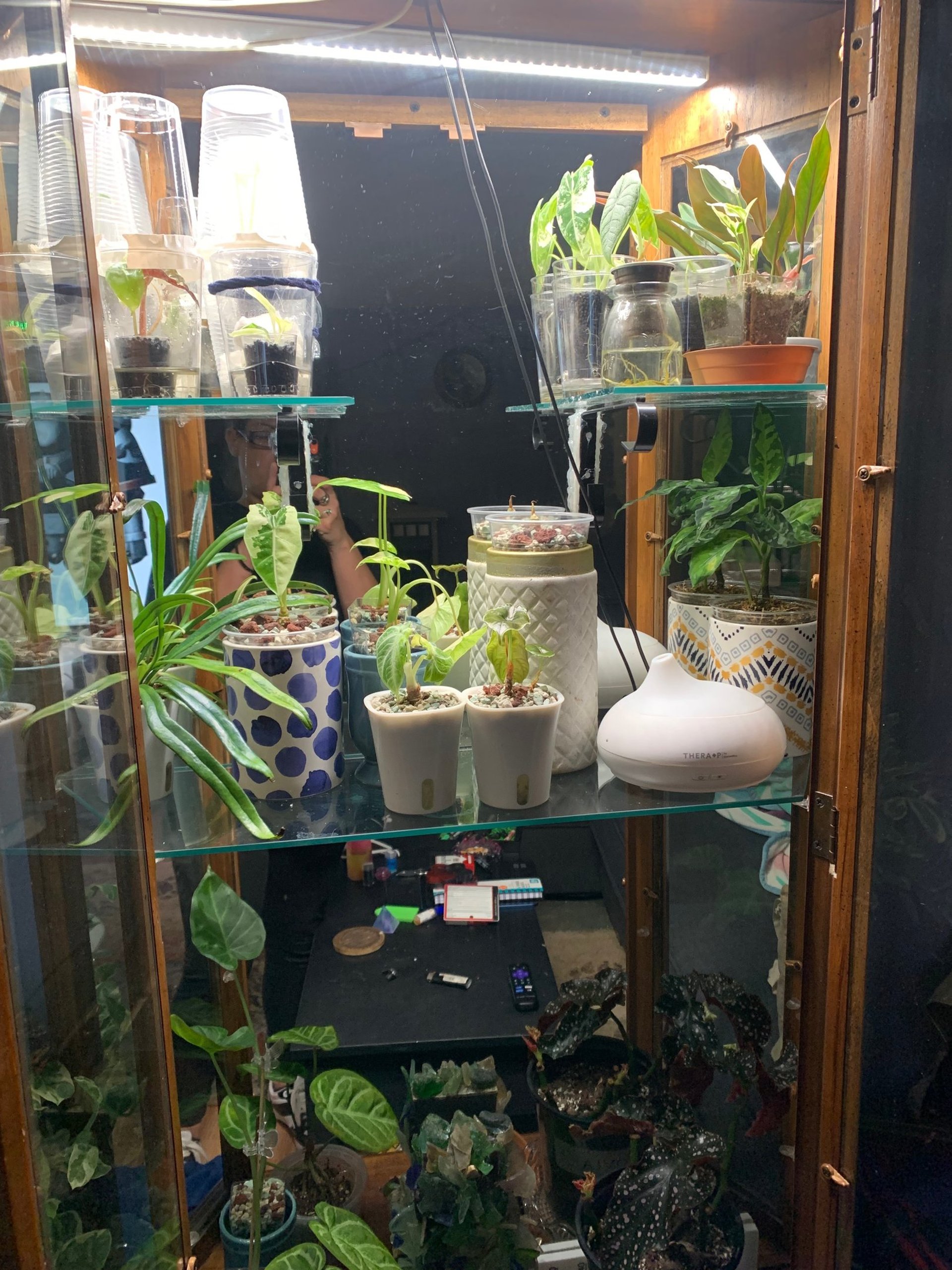 black and white bed linen