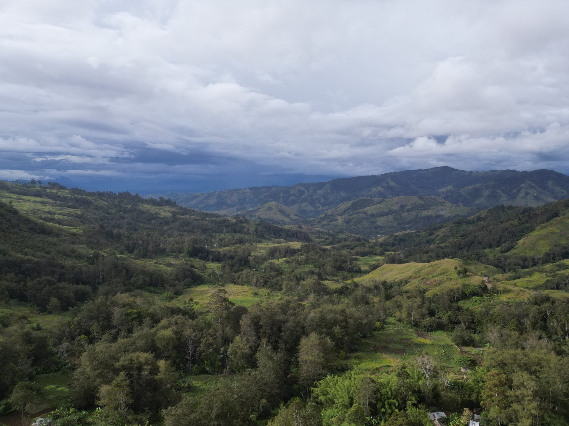 black and white bed linen
