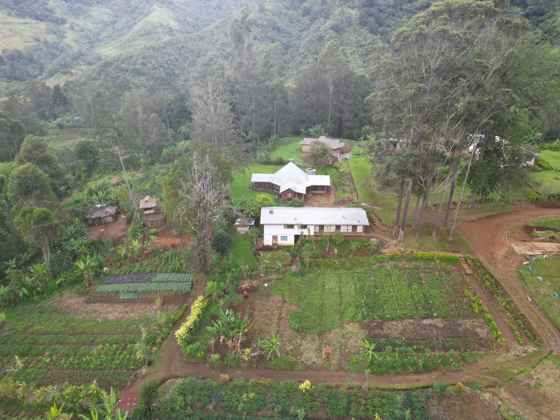 opened book on brown wooden table