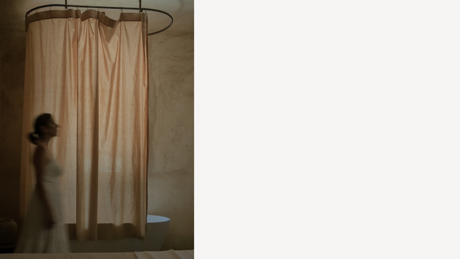 Brown cow grazing in a green meadow with forest.