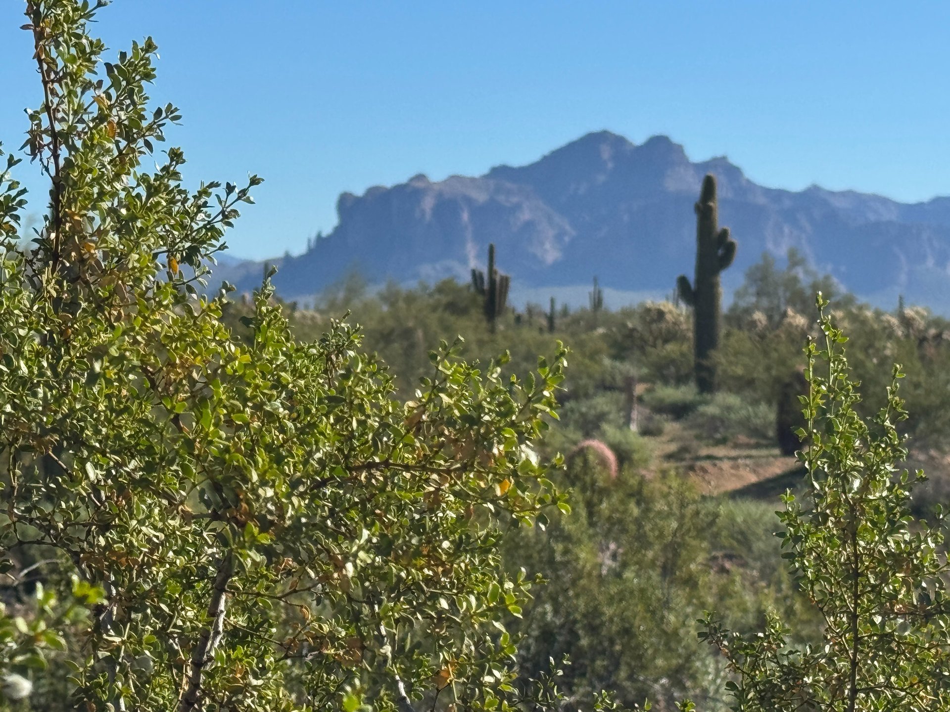 gray computer monitor