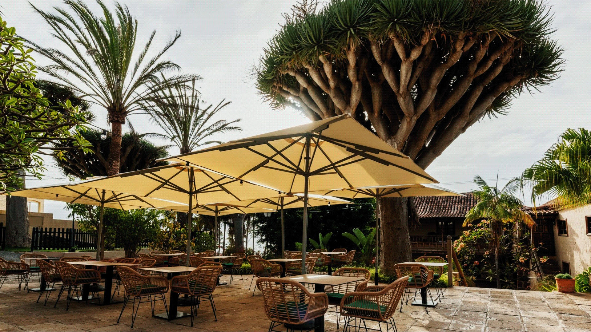 Terraza exterior del restaurante Esterlicia rodeada de vegetación y plantas
