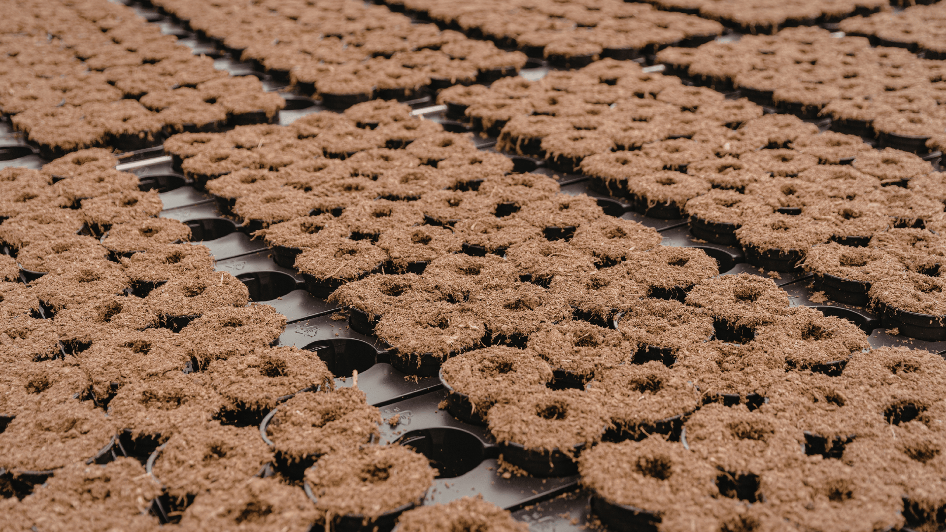 an abstract photo of a curved building with a blue sky in the background