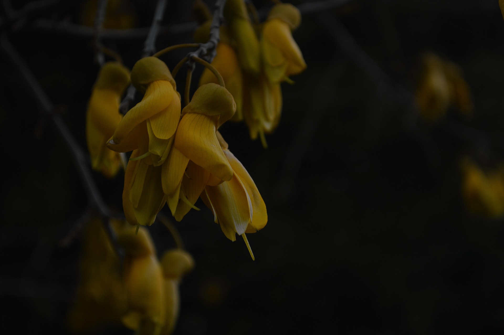 black and white bed linen