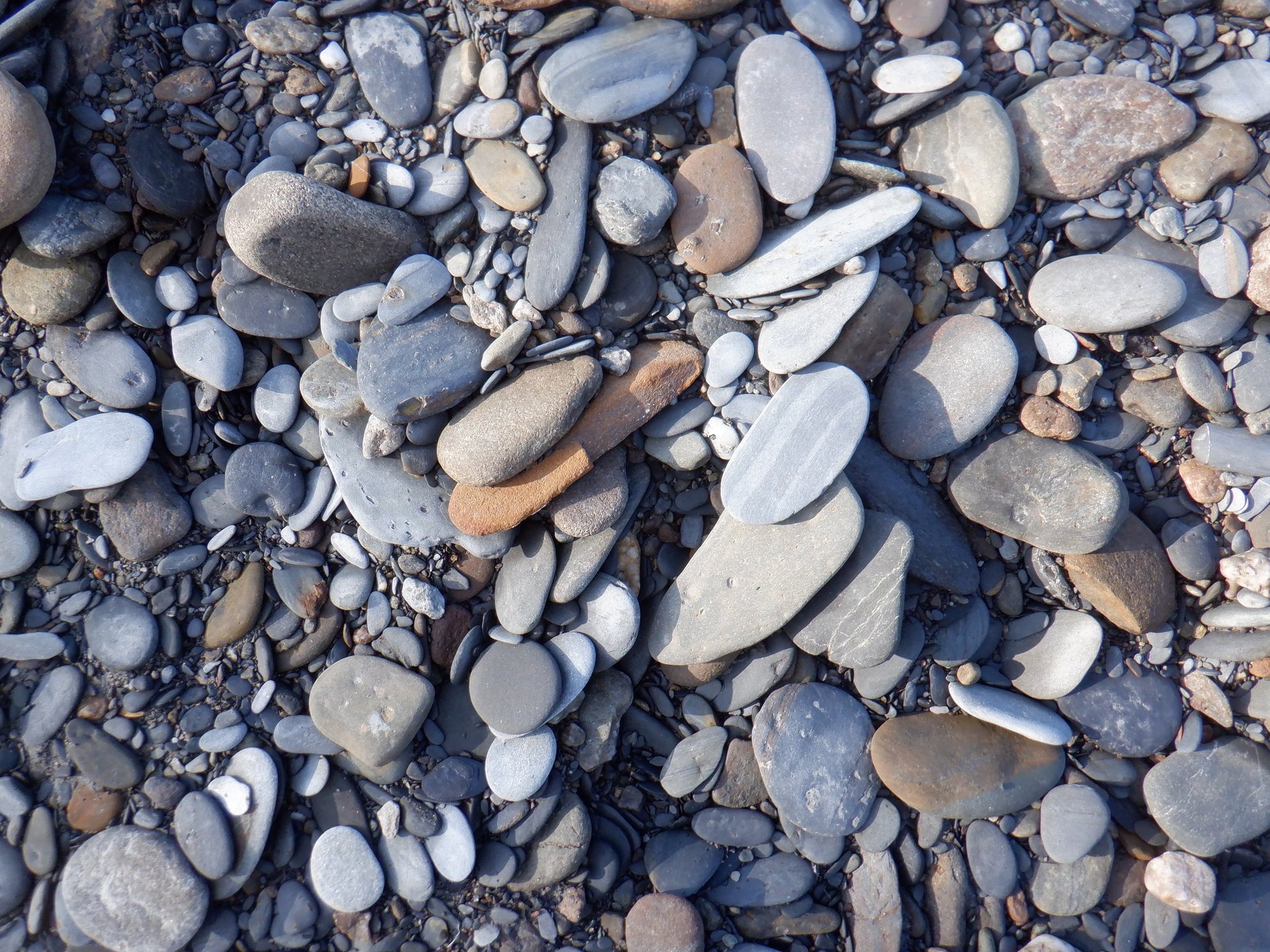 brown and gray stones on water