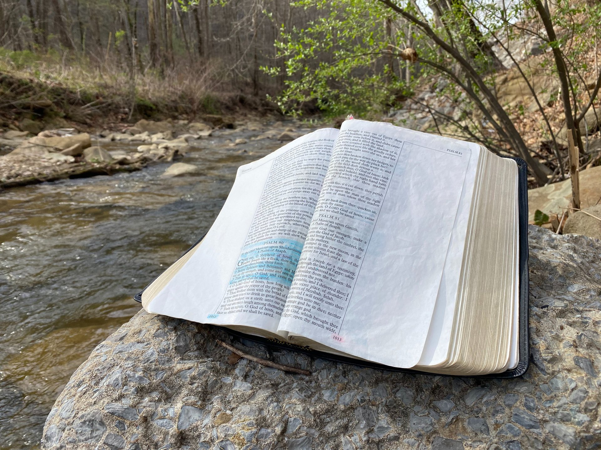 woman wearing yellow long-sleeved dress under white clouds and blue sky during daytime
