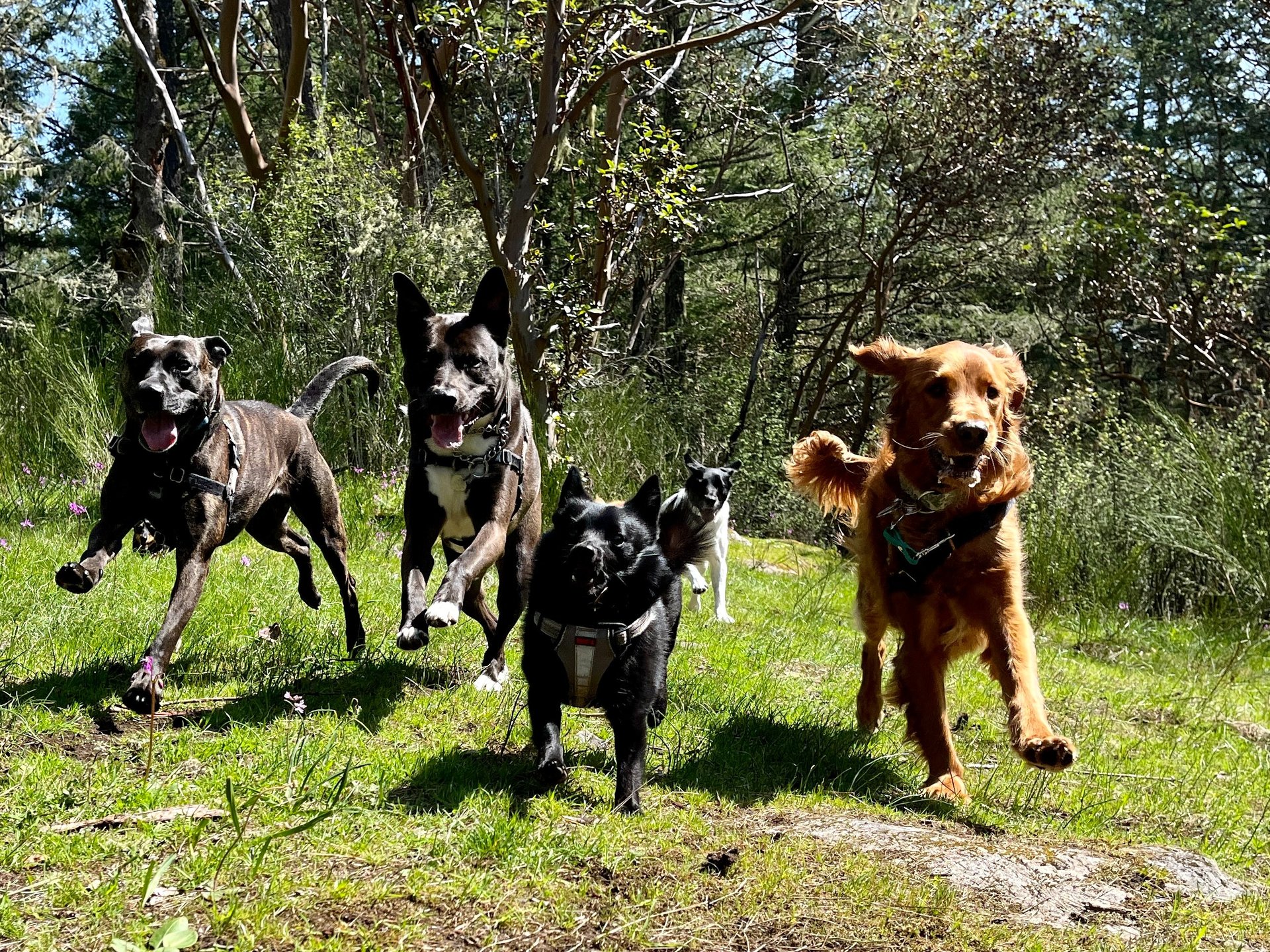 black and white bed linen