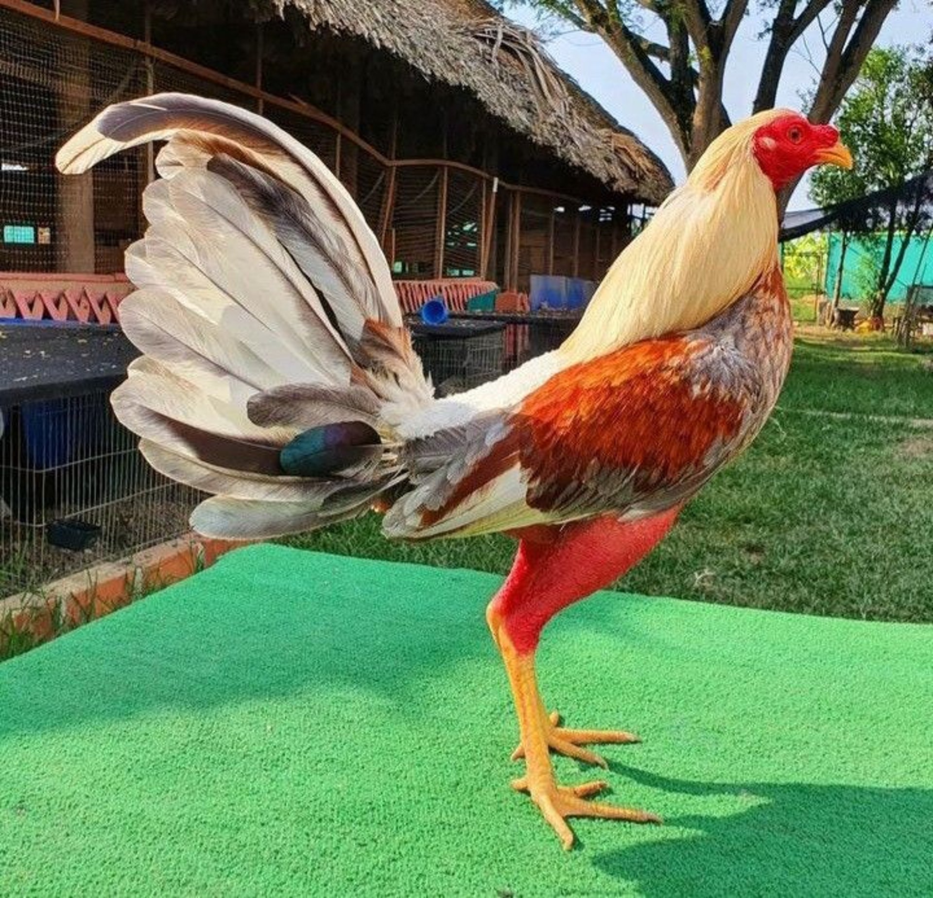 gray computer monitor