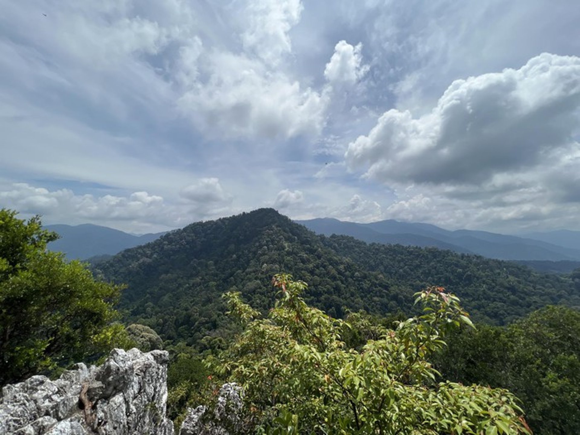 woman wearing yellow long-sleeved dress under white clouds and blue sky during daytime
