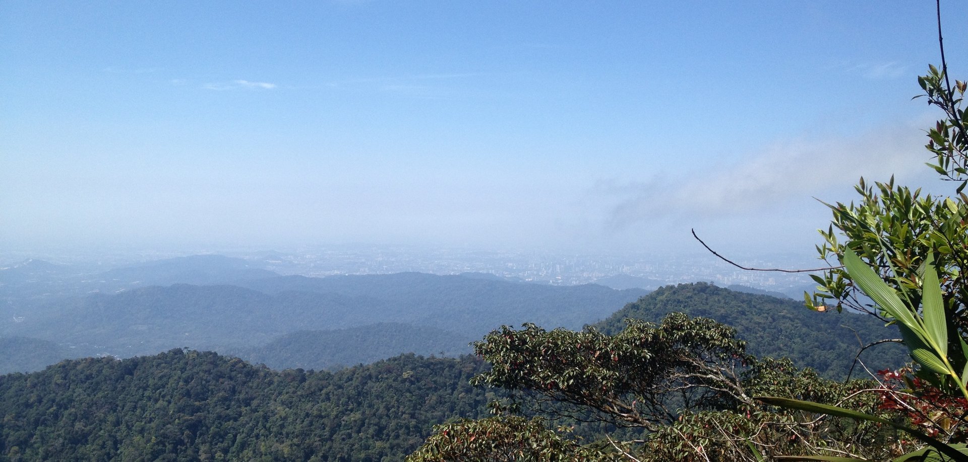 gray computer monitor