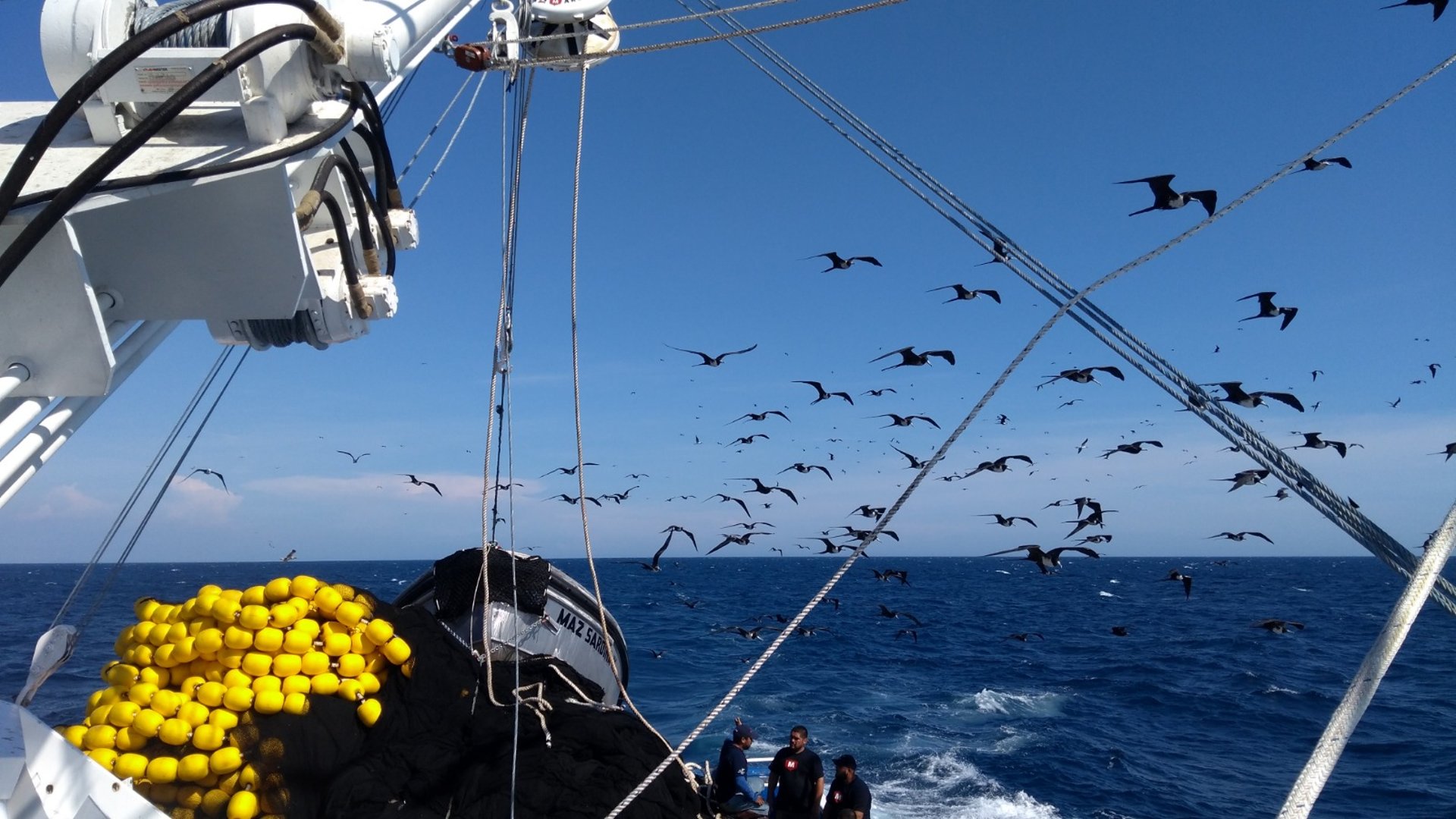 black and brown leather padded tub sofa