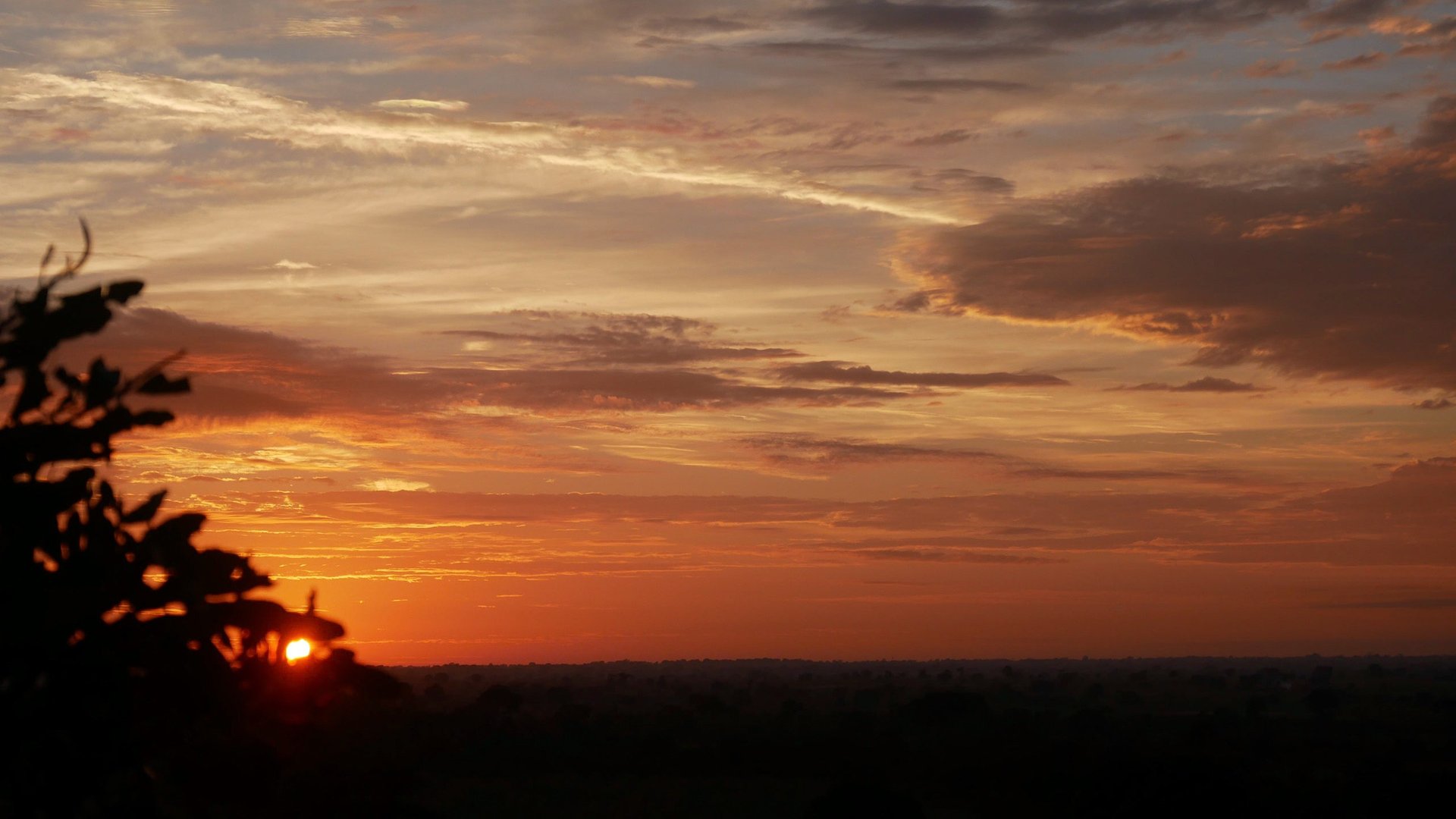 gray computer monitor