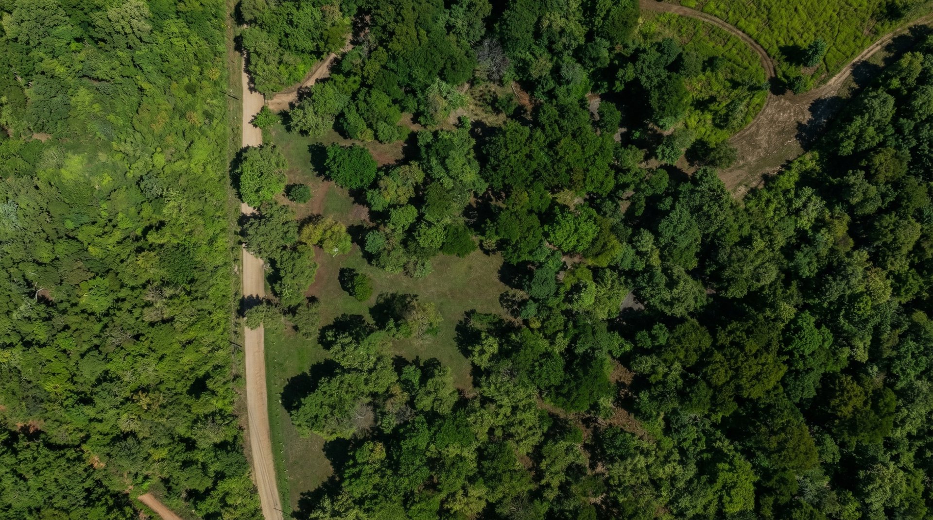 a close up of a black and brown abstract painting