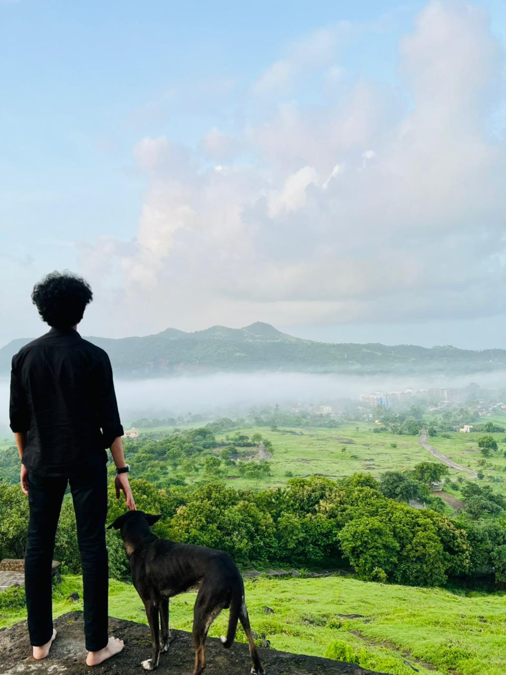 black and white bed linen