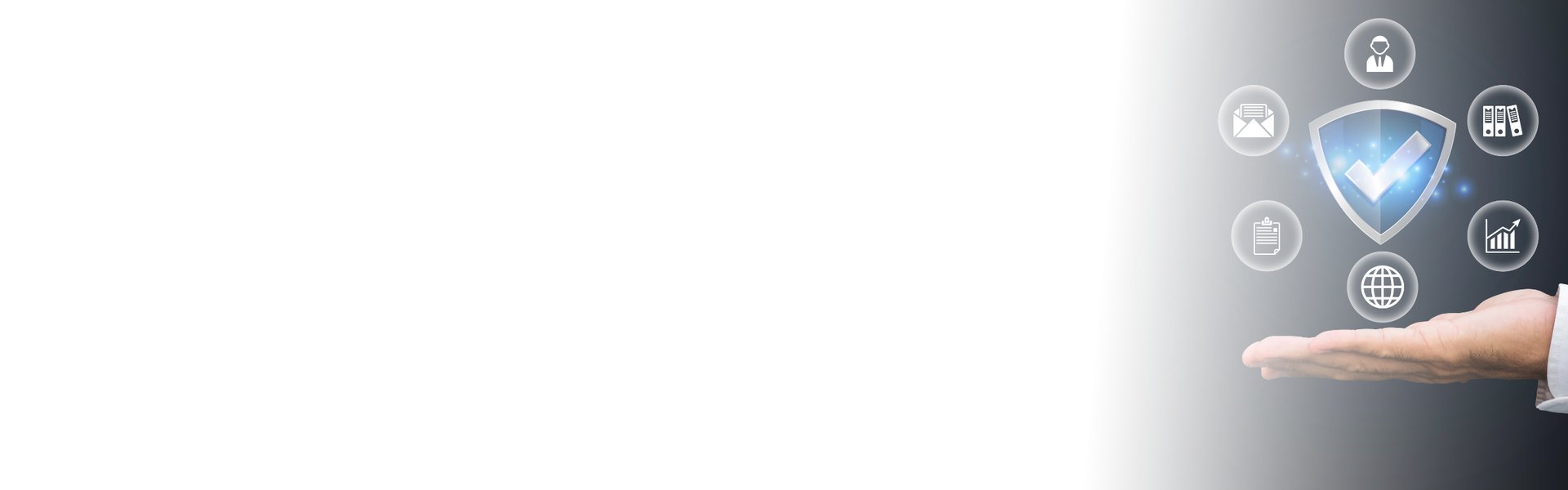 green leafed plant on clear glass vase filled with water