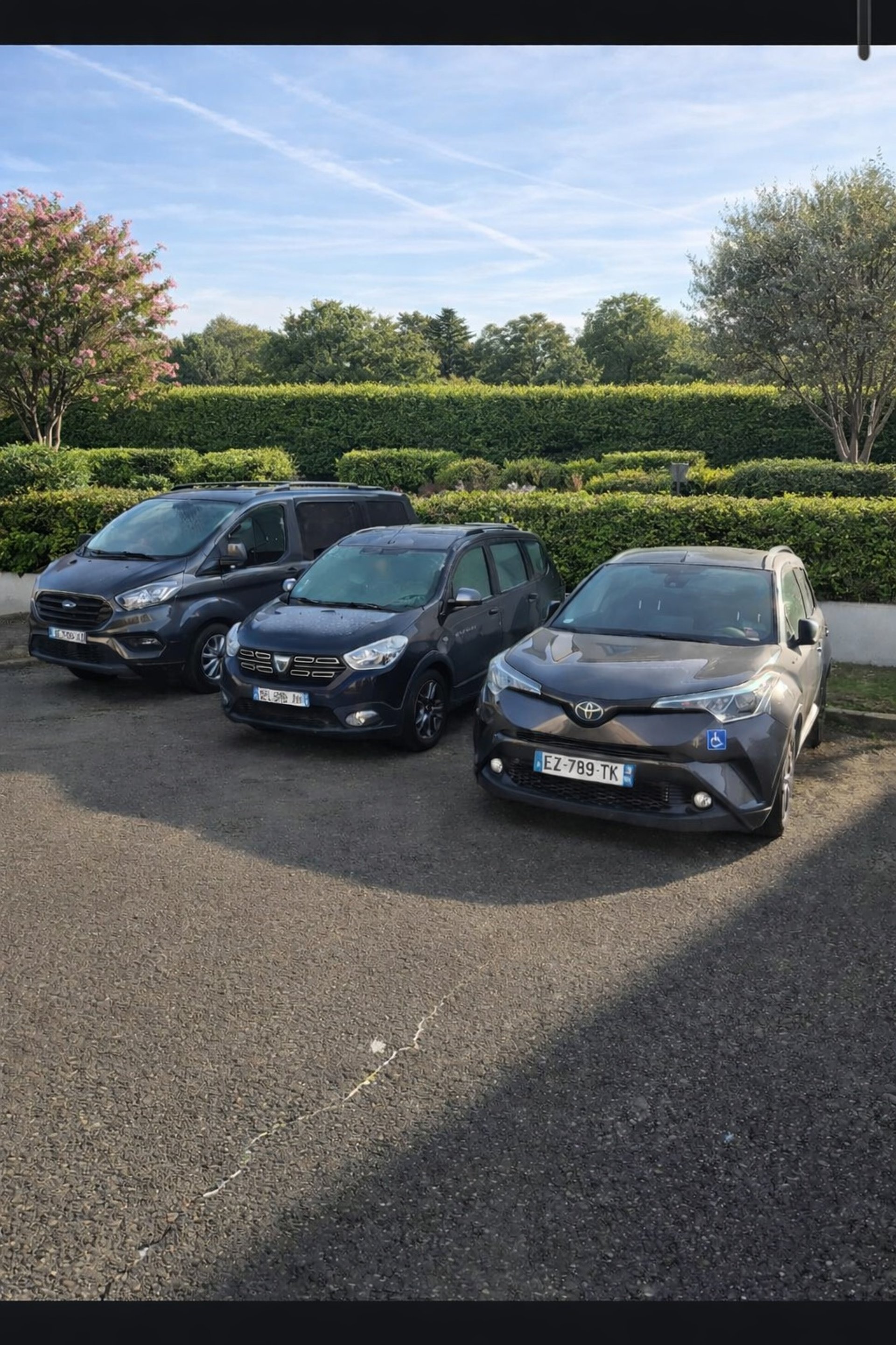 black blue and yellow textile