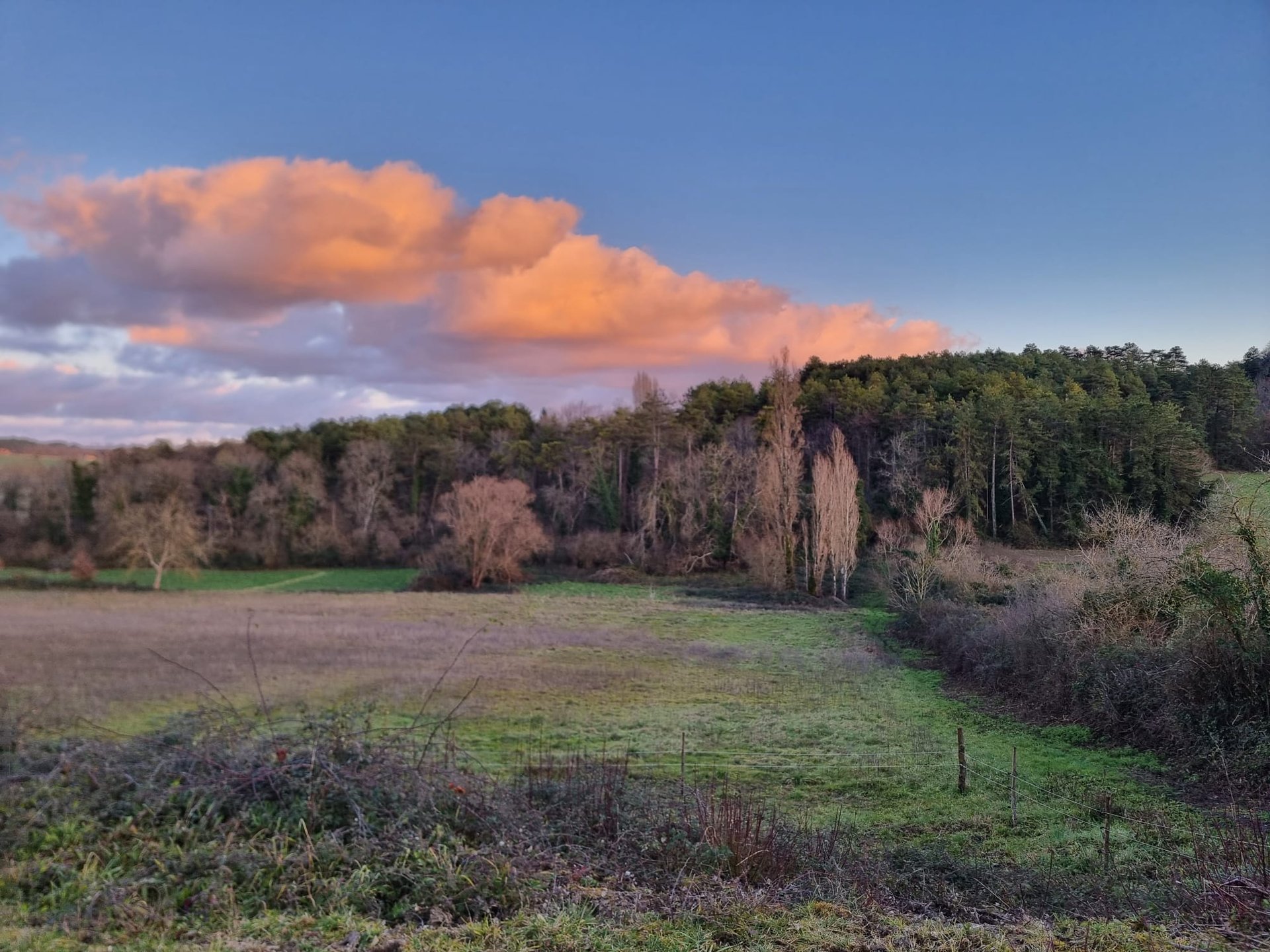 gray computer monitor