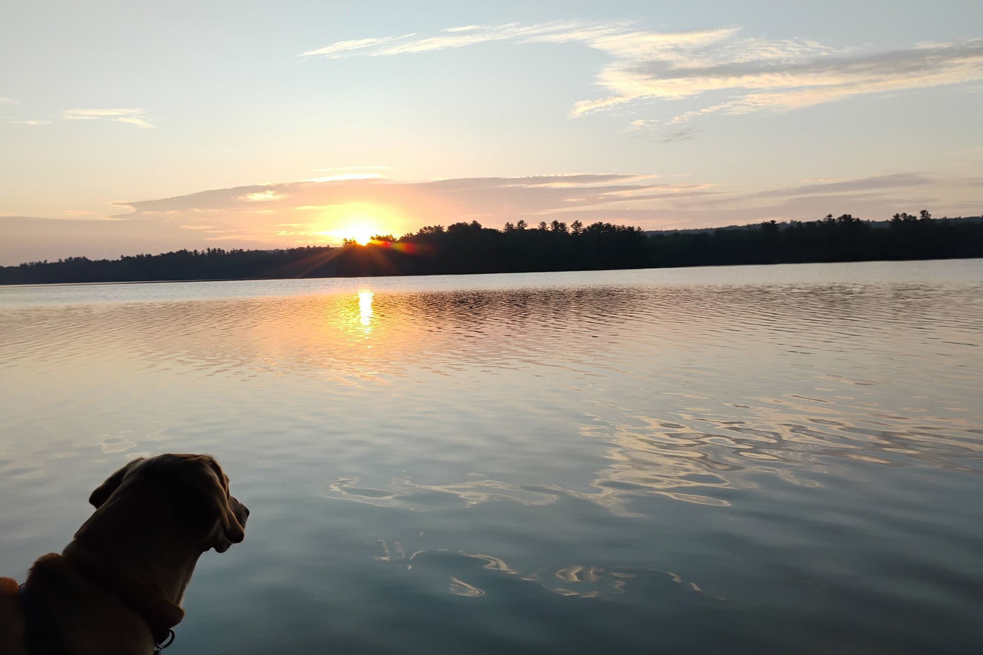 black and brown leather padded tub sofa