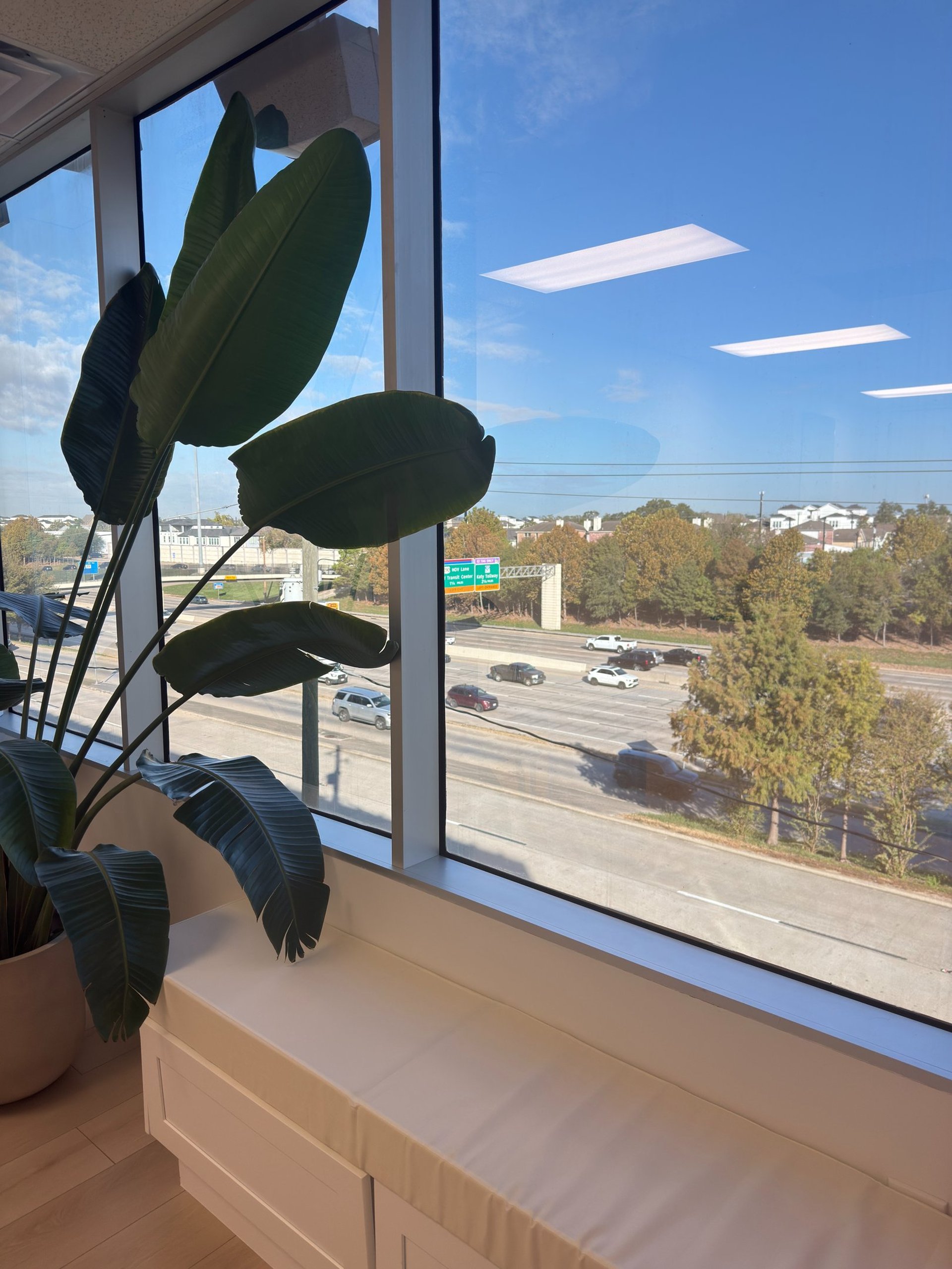 black blue and yellow textile