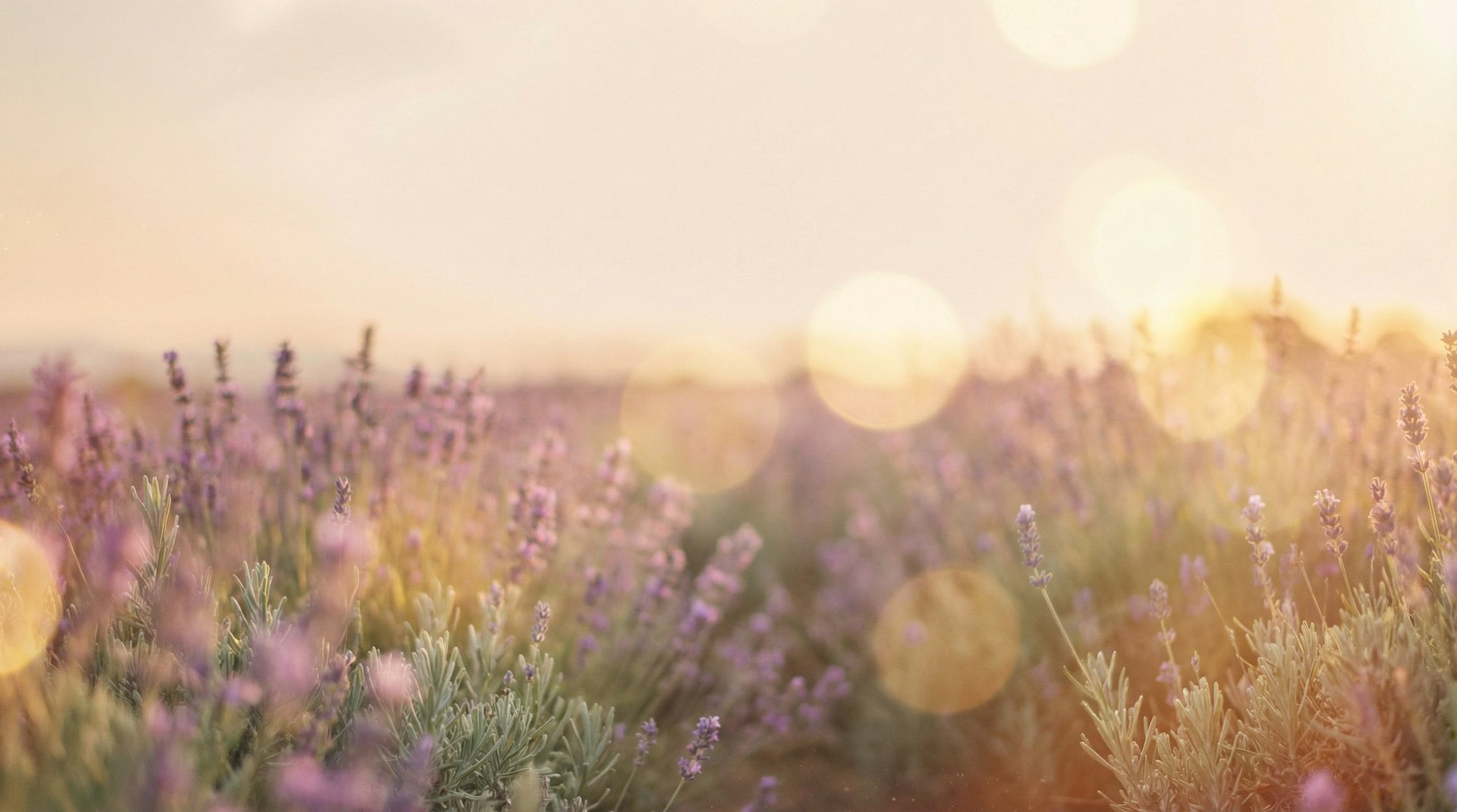 woman wearing yellow long-sleeved dress under white clouds and blue sky during daytime
