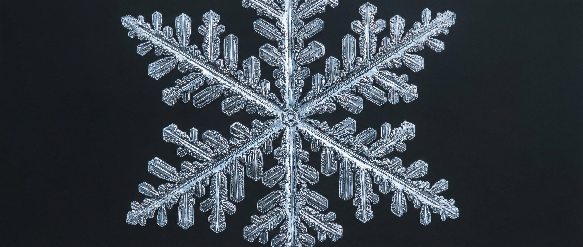 Détail au microscope d'un flocon de neige