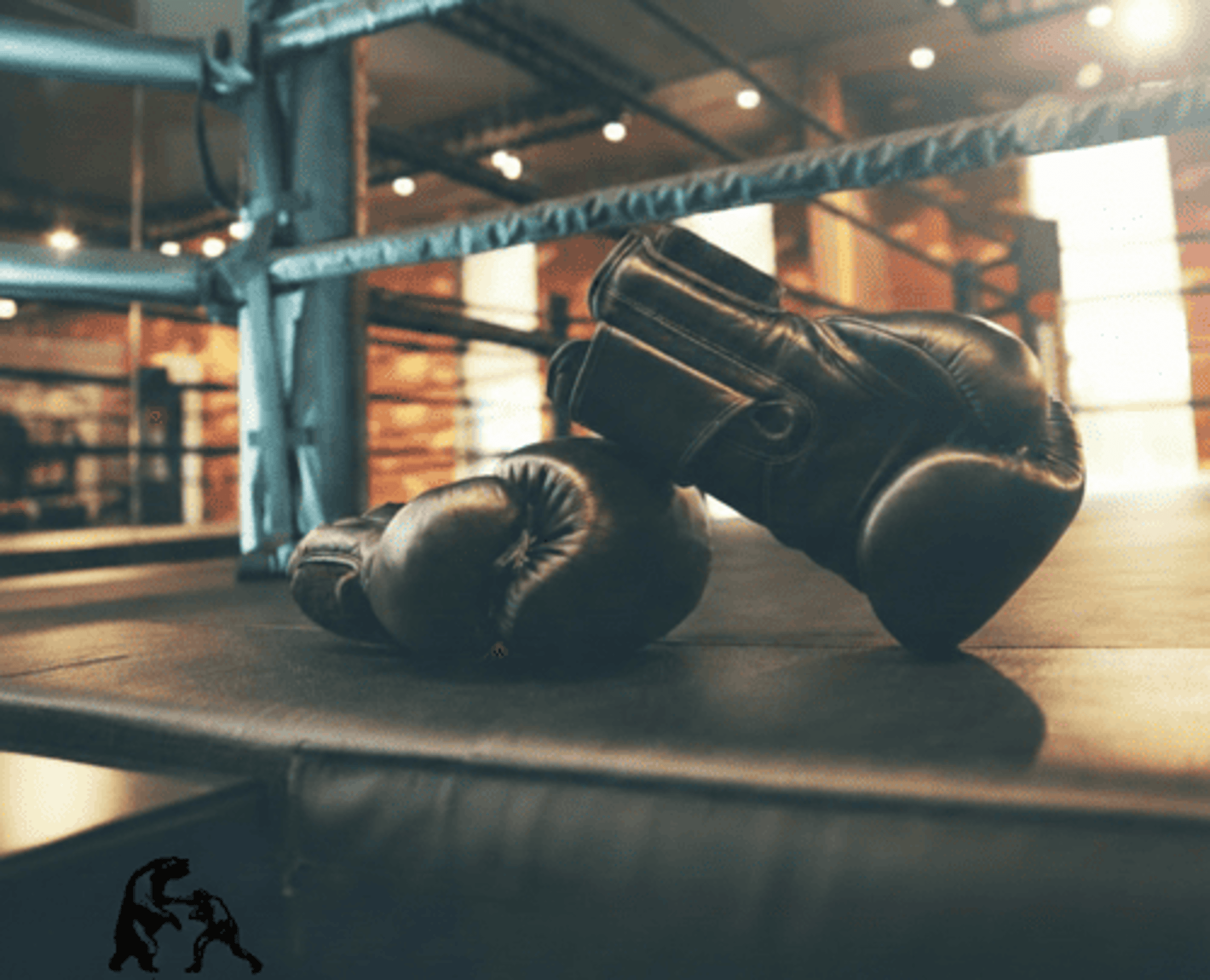 an abstract photo of a curved building with a blue sky in the background