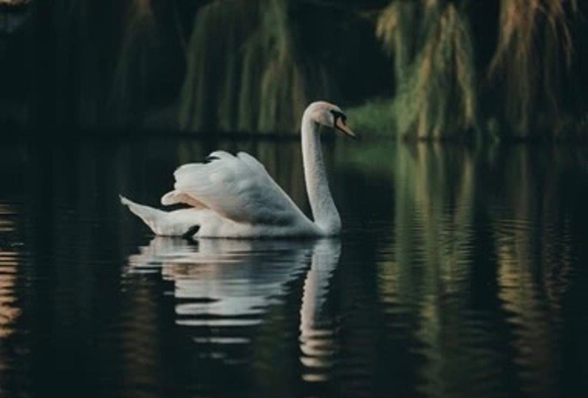 woman in white crew neck shirt wearing brown sun hat