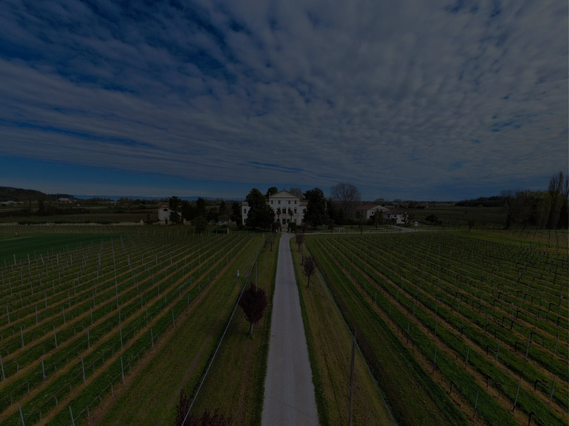 black and white bed linen