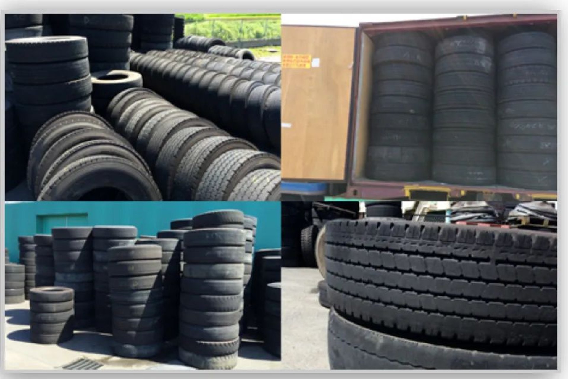 woman holding dried flower