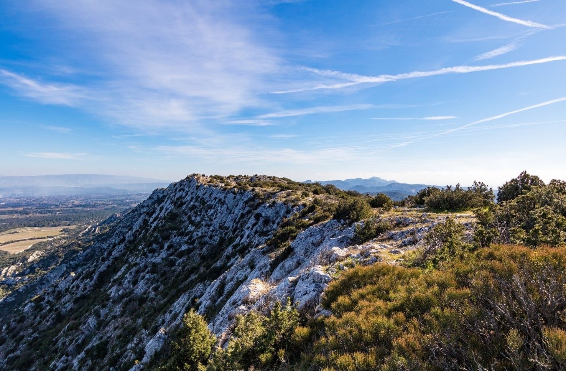 an abstract photo of a curved building with a blue sky in the background