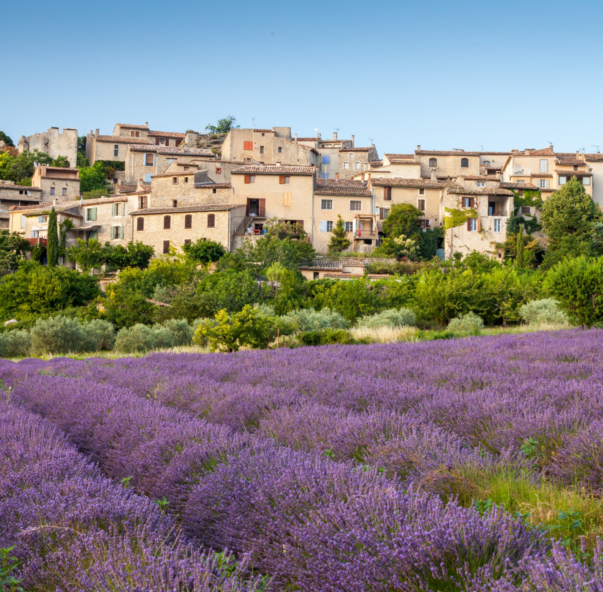 gray computer monitor