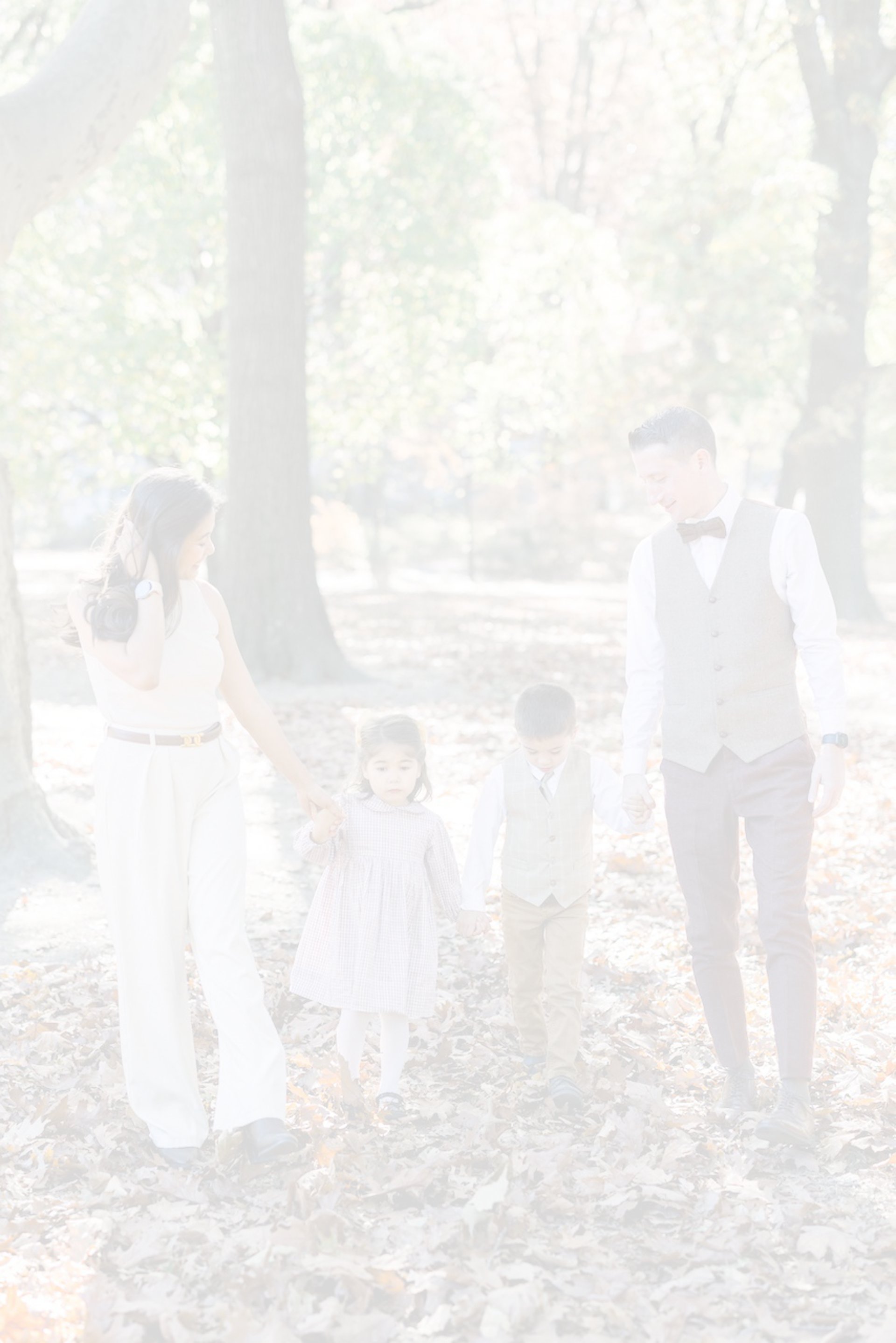 yellow and orange butterfly lot