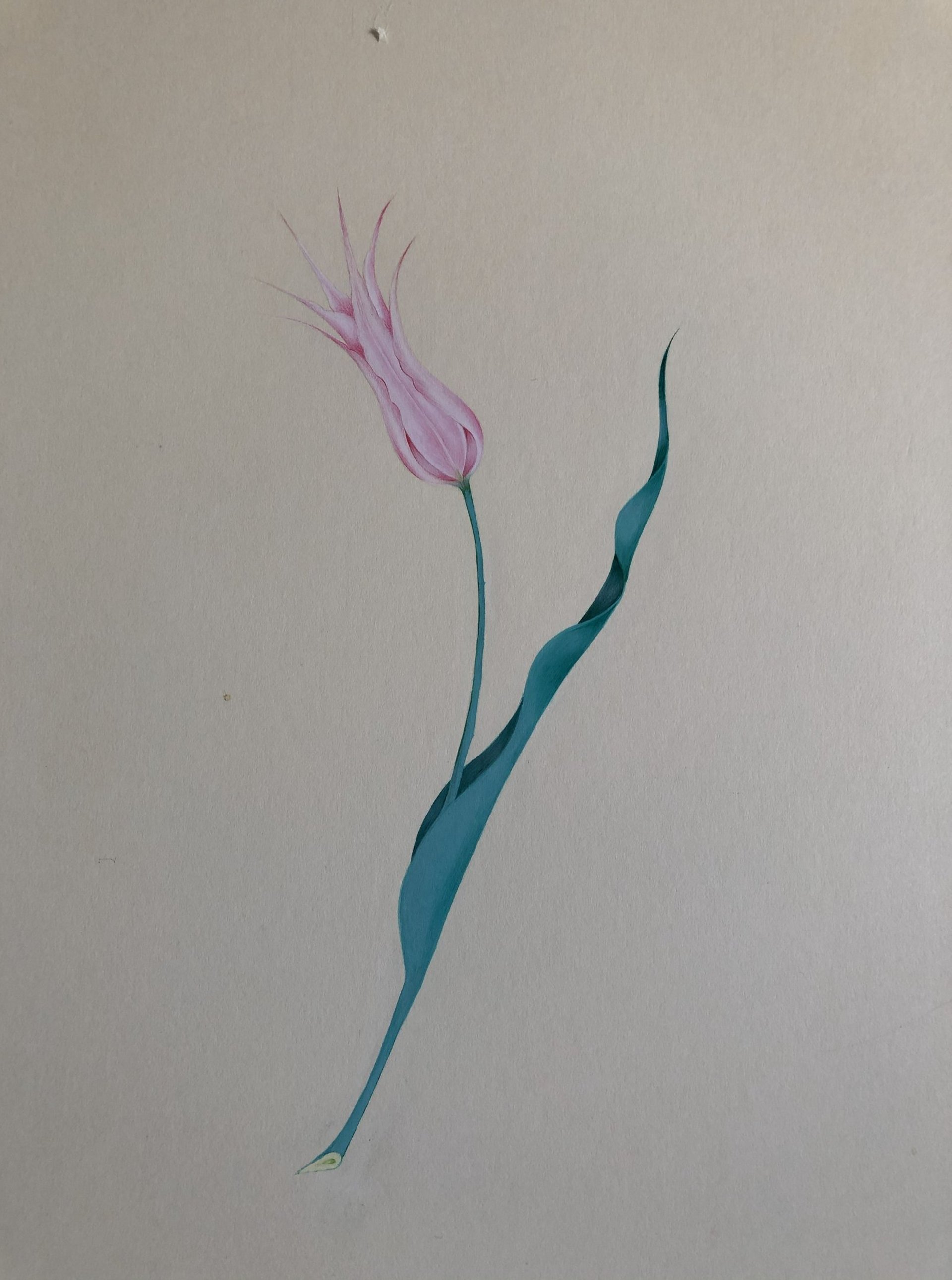 gray computer monitor