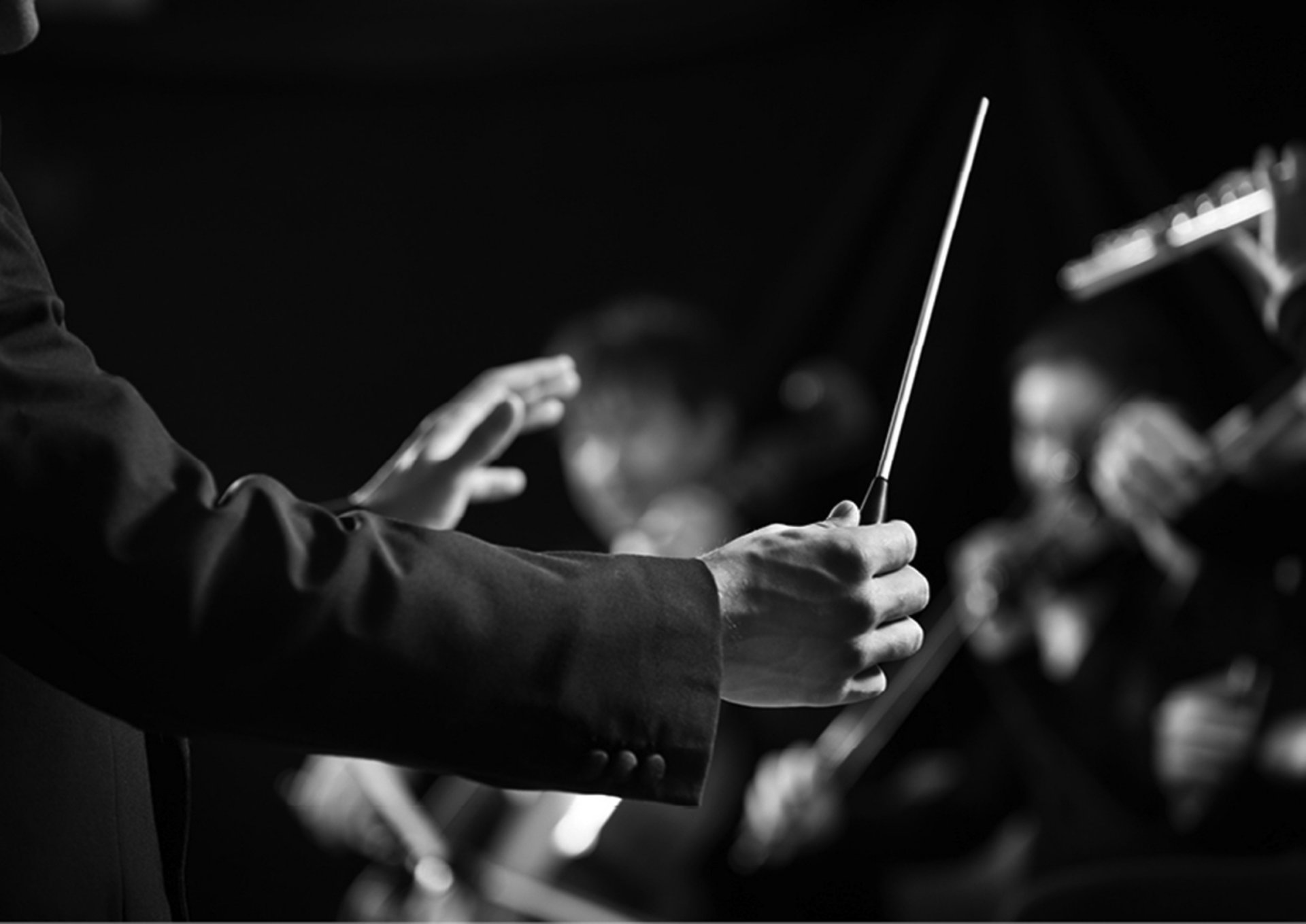 black and white bed linen