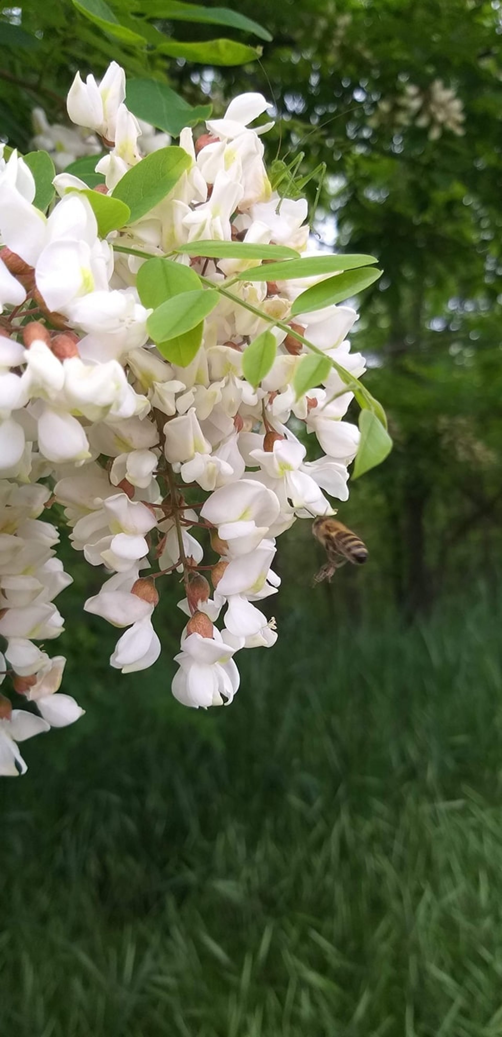 an abstract photo of a curved building with a blue sky in the background